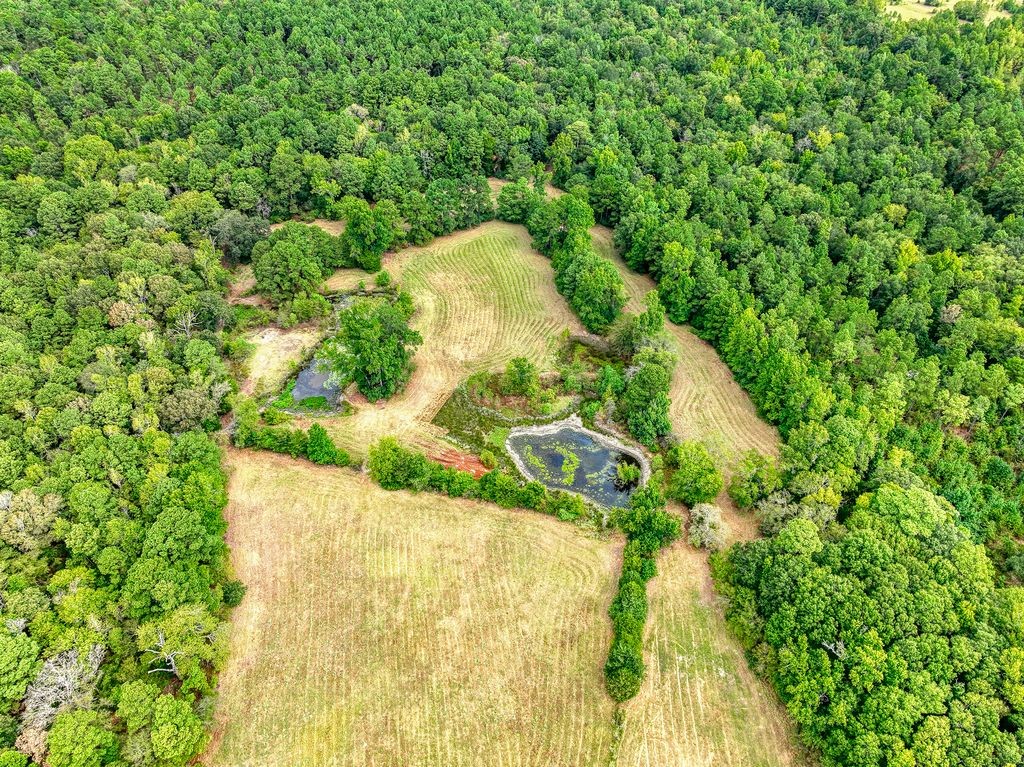4233 An County Road 163 Property Photo 13