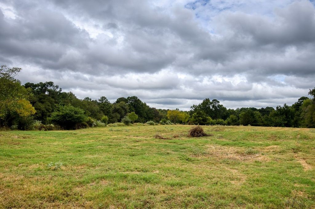 4233 An County Road 163 Property Photo 15