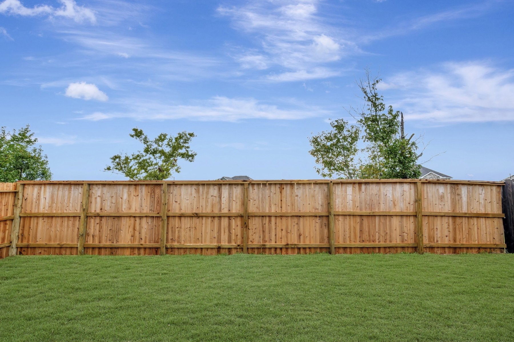 10318 Navarro Path Property Photo 7