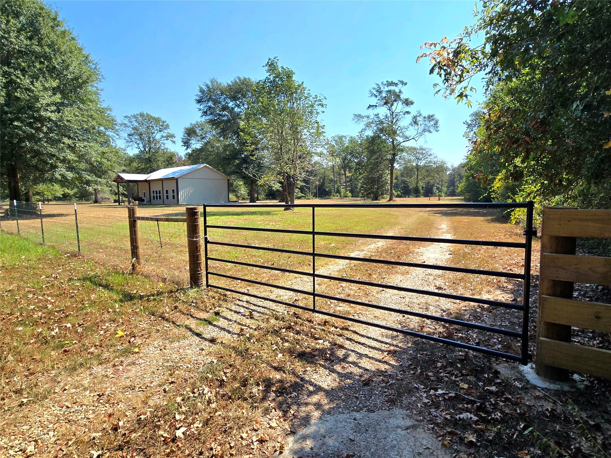 251 Everitt Rd Property Photo 18