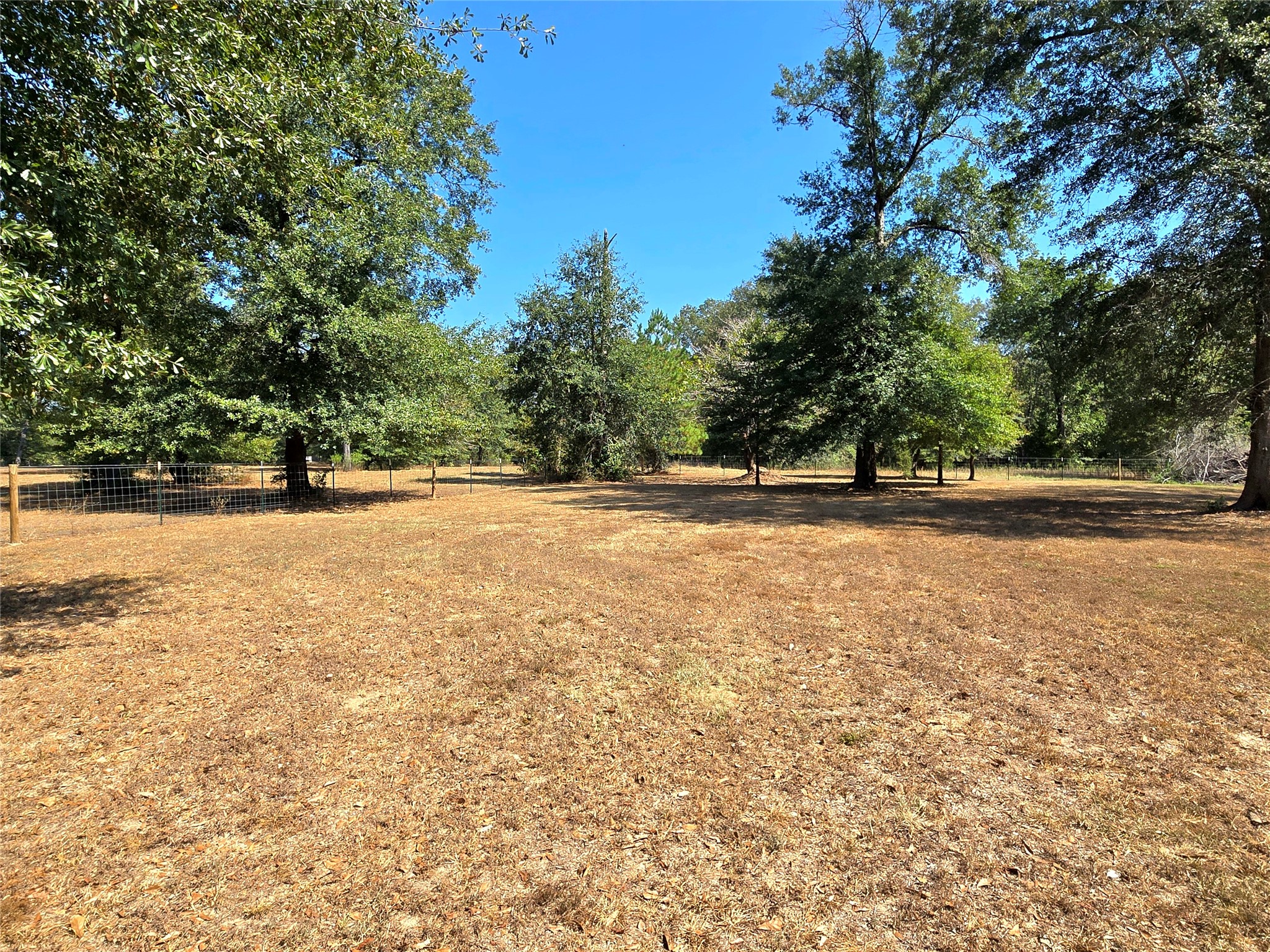 251 Everitt Rd Property Photo 20