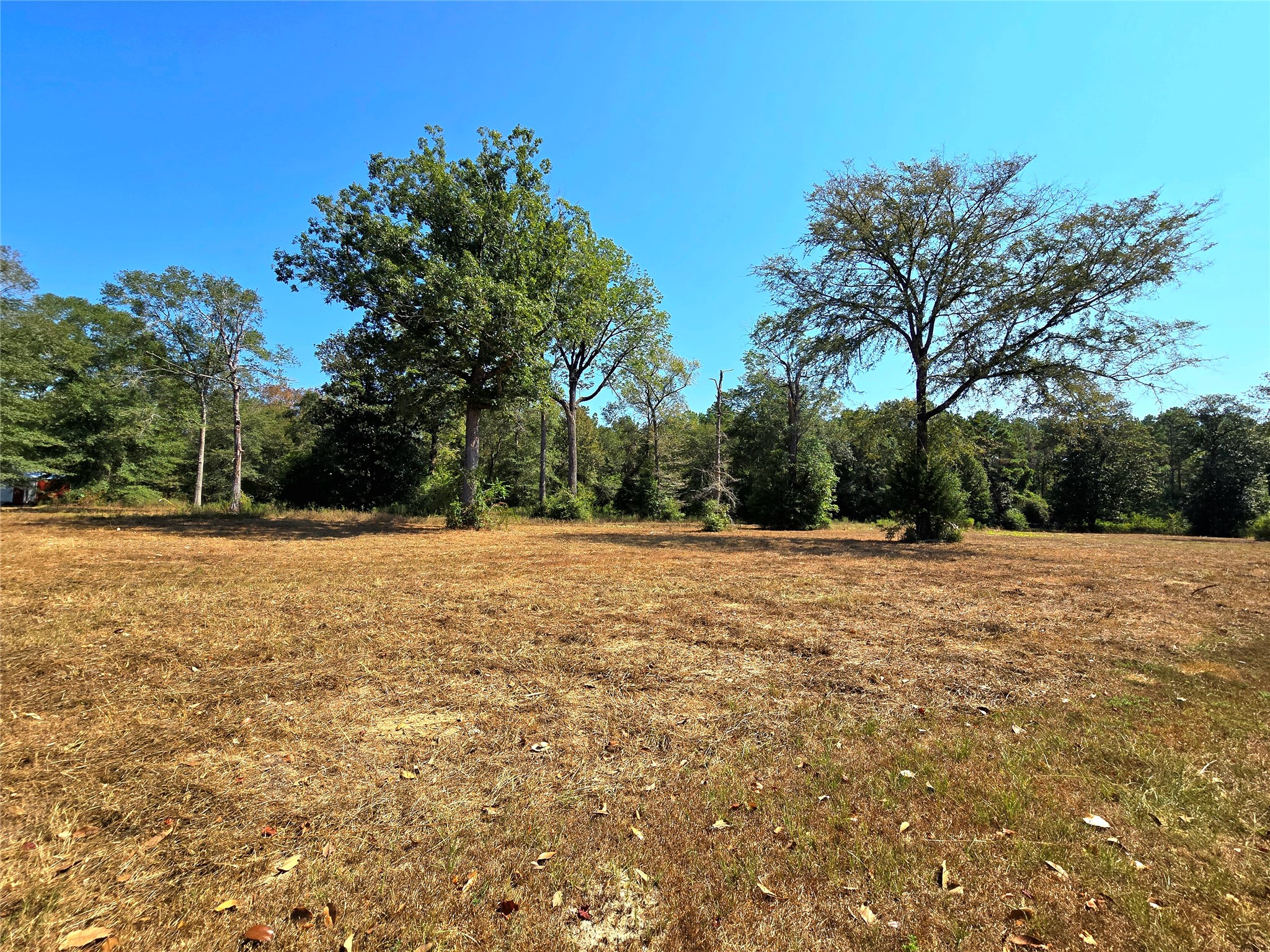 251 Everitt Rd Property Photo 25