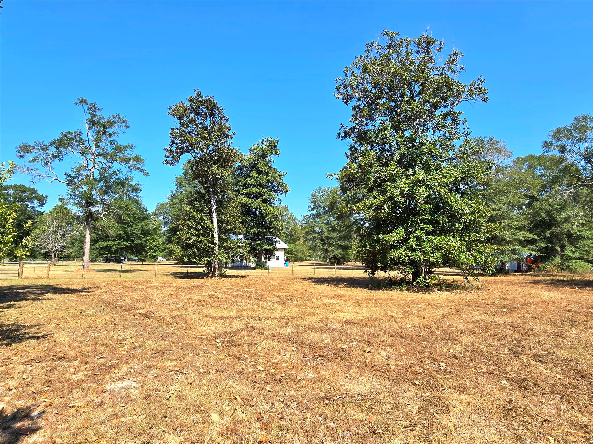 251 Everitt Rd Property Photo 26