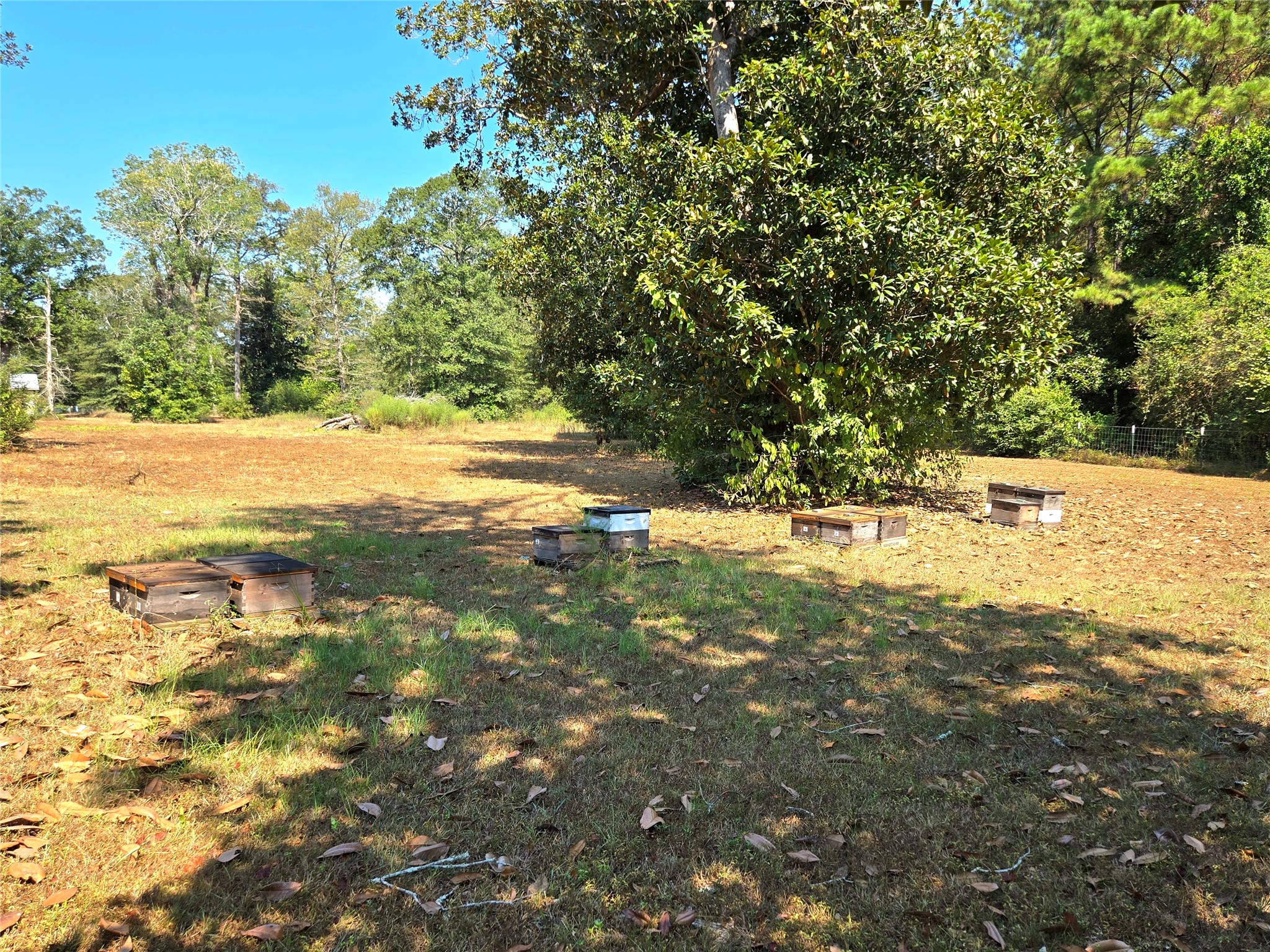 251 Everitt Rd Property Photo 28