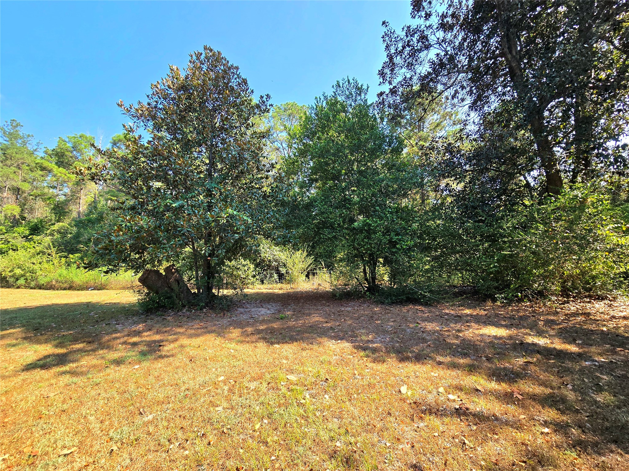 251 Everitt Rd Property Photo 29