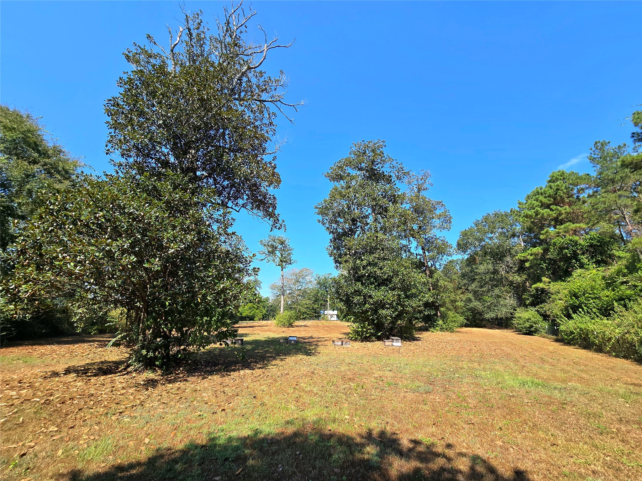 251 Everitt Rd Property Photo 30