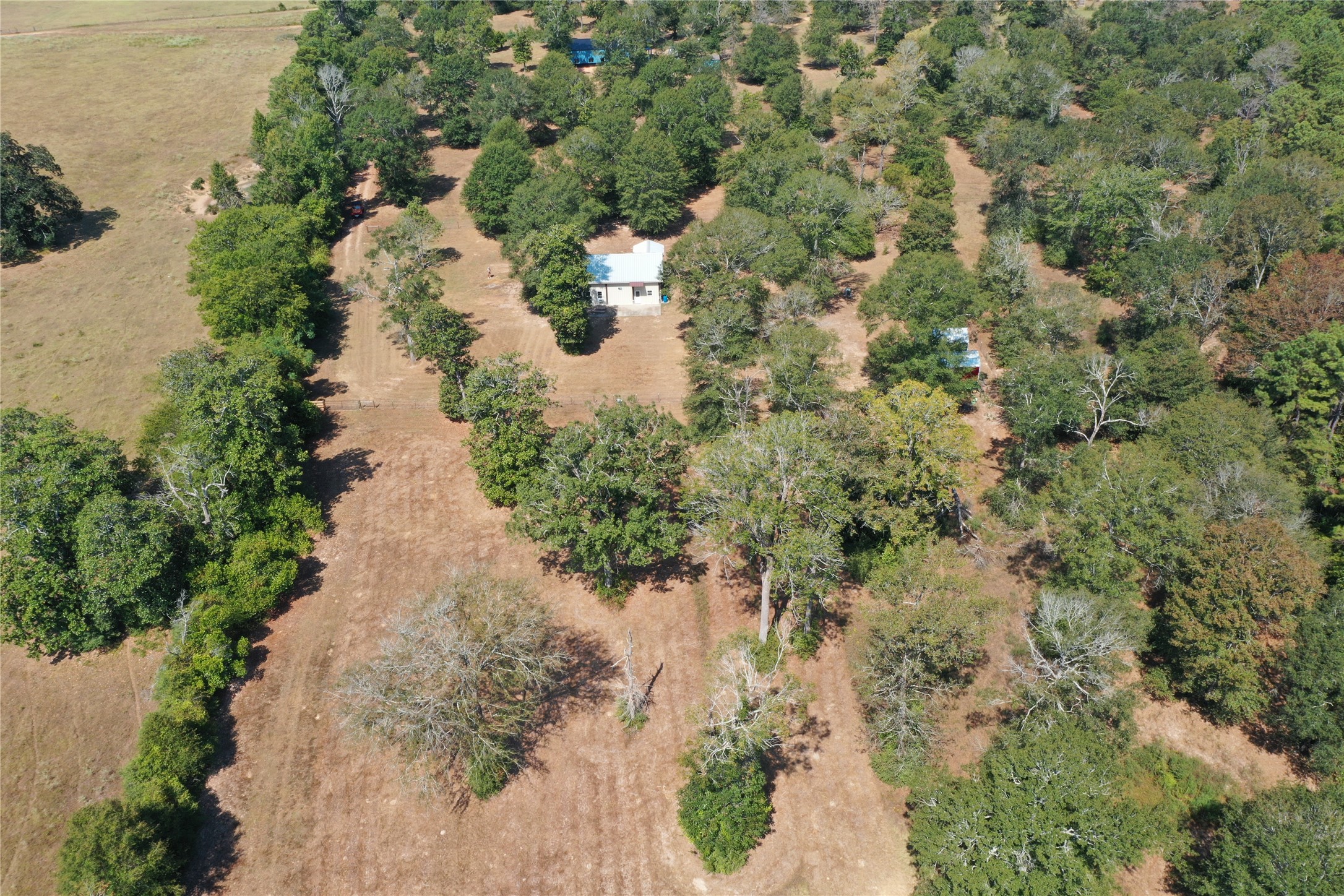251 Everitt Rd Property Photo 36