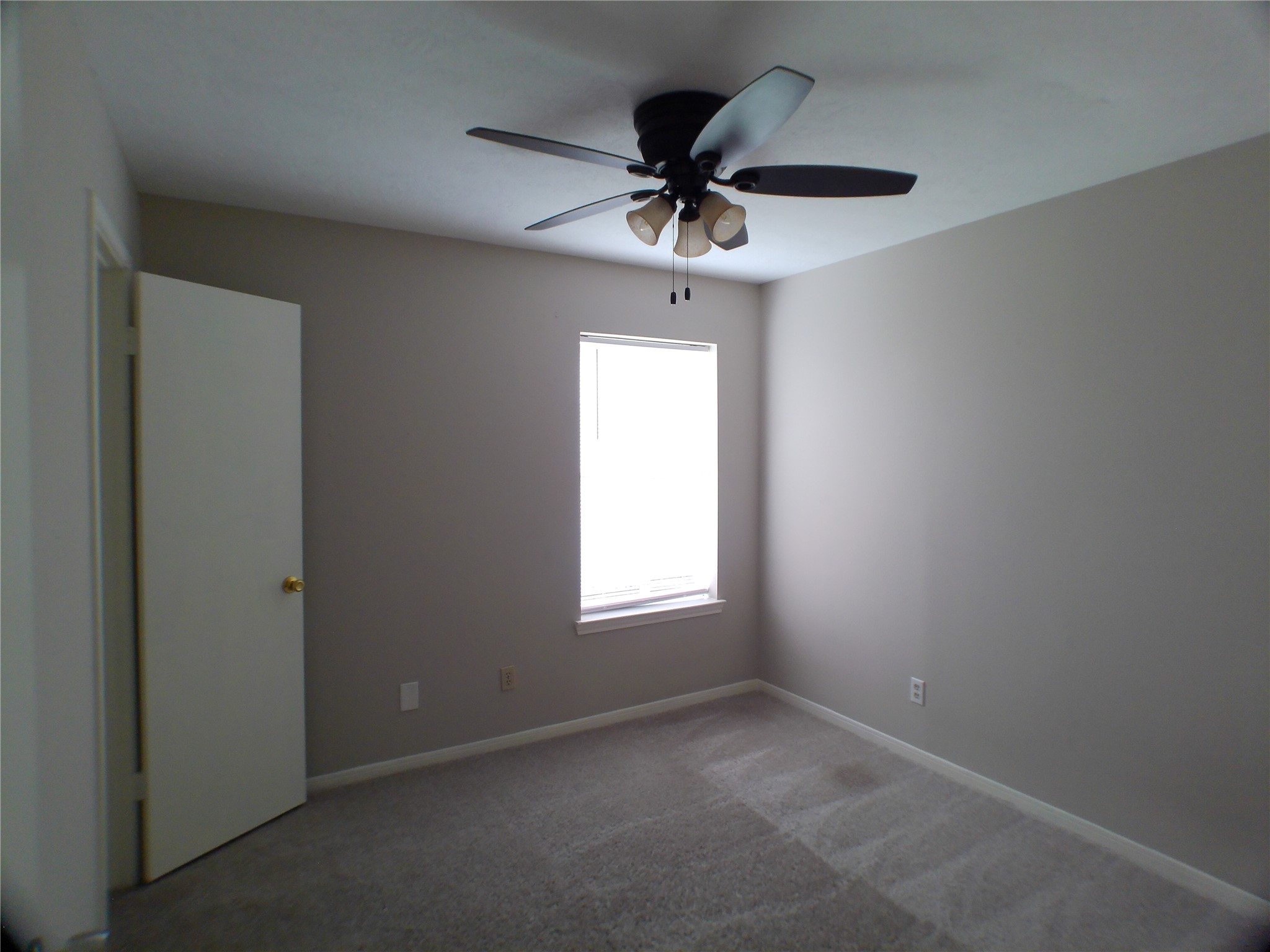 4422 Haiti Lane Property Photo 7