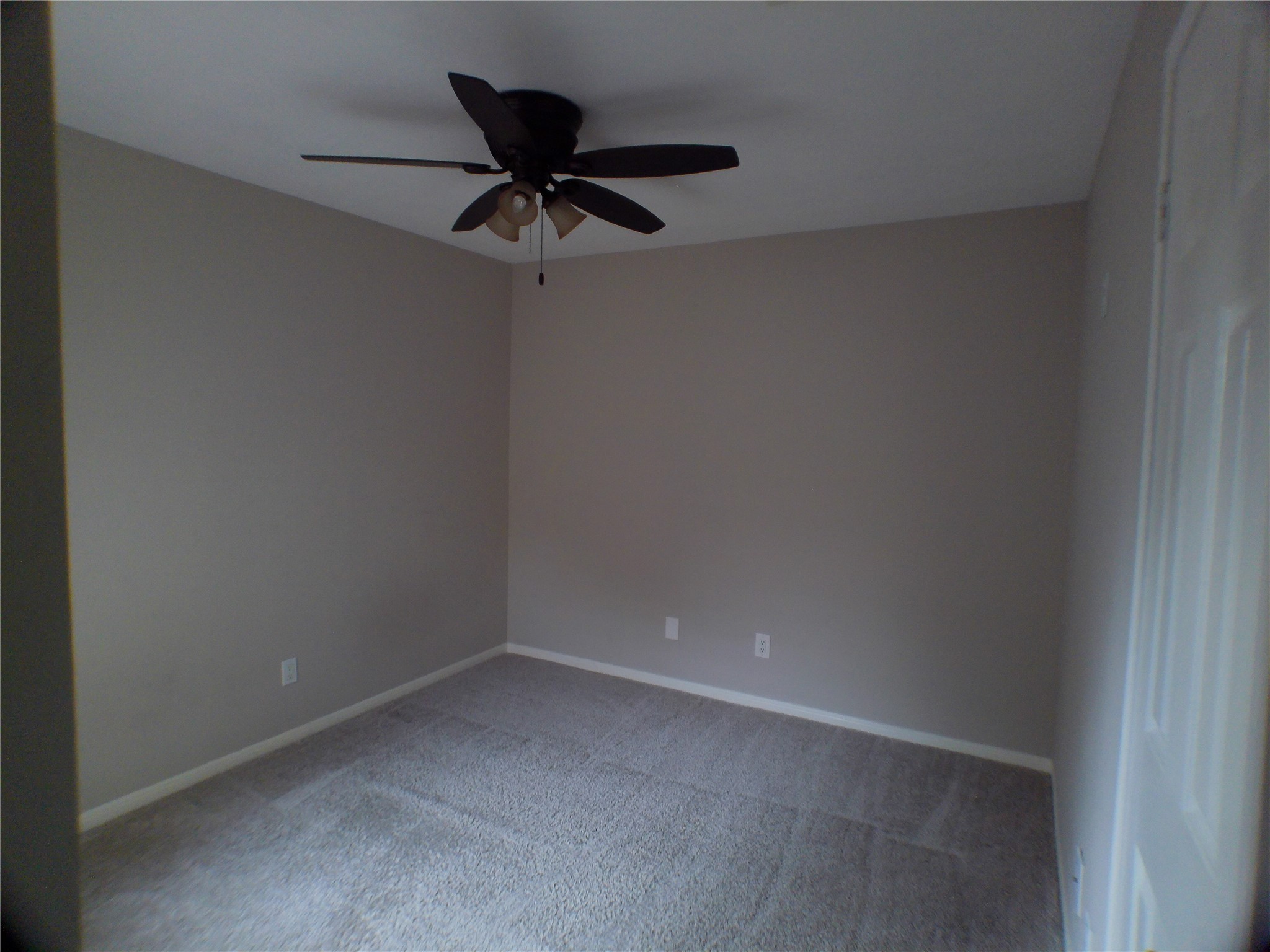 4422 Haiti Lane Property Photo 11