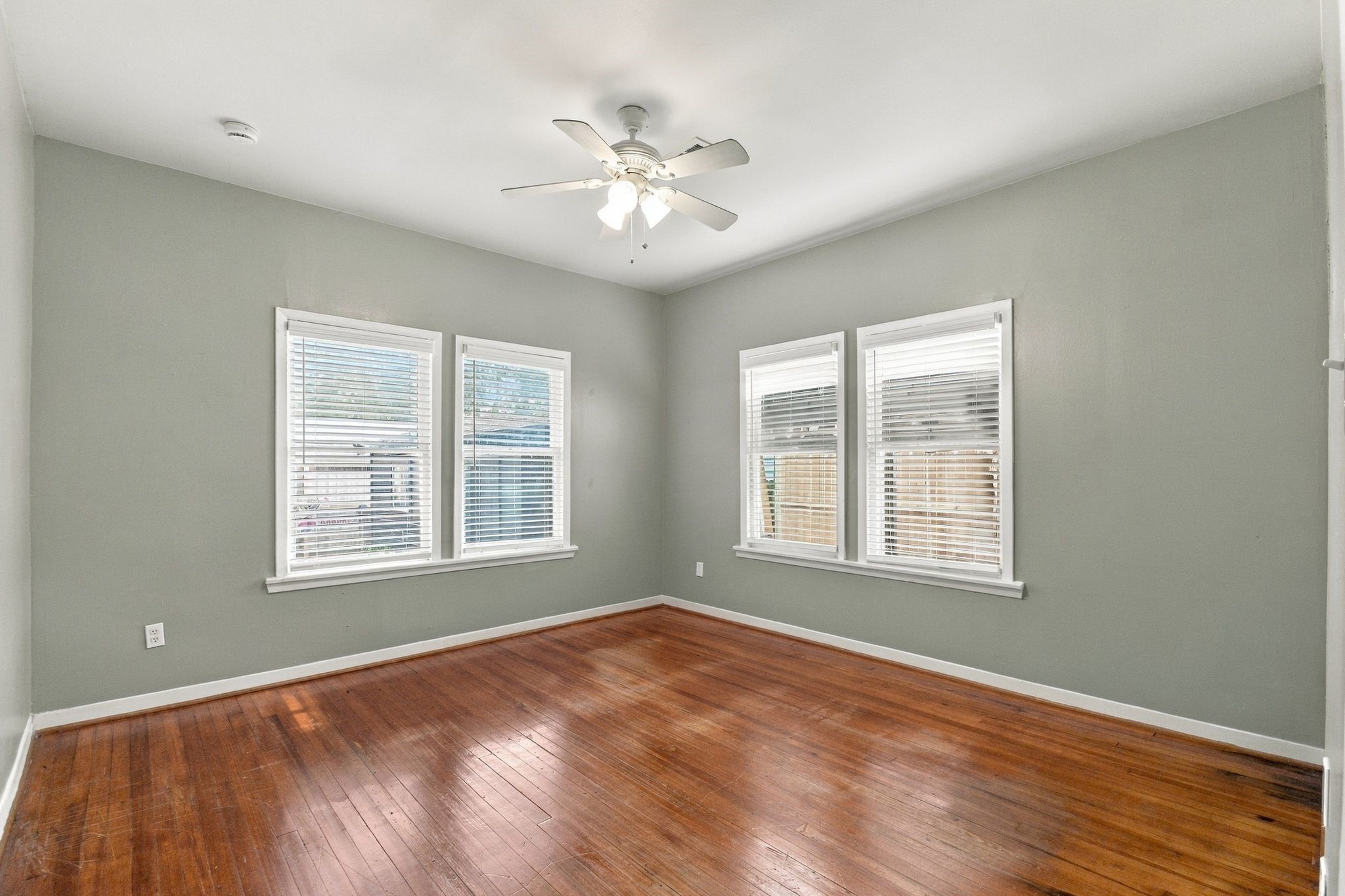 905 Pizer Street Property Photo 15
