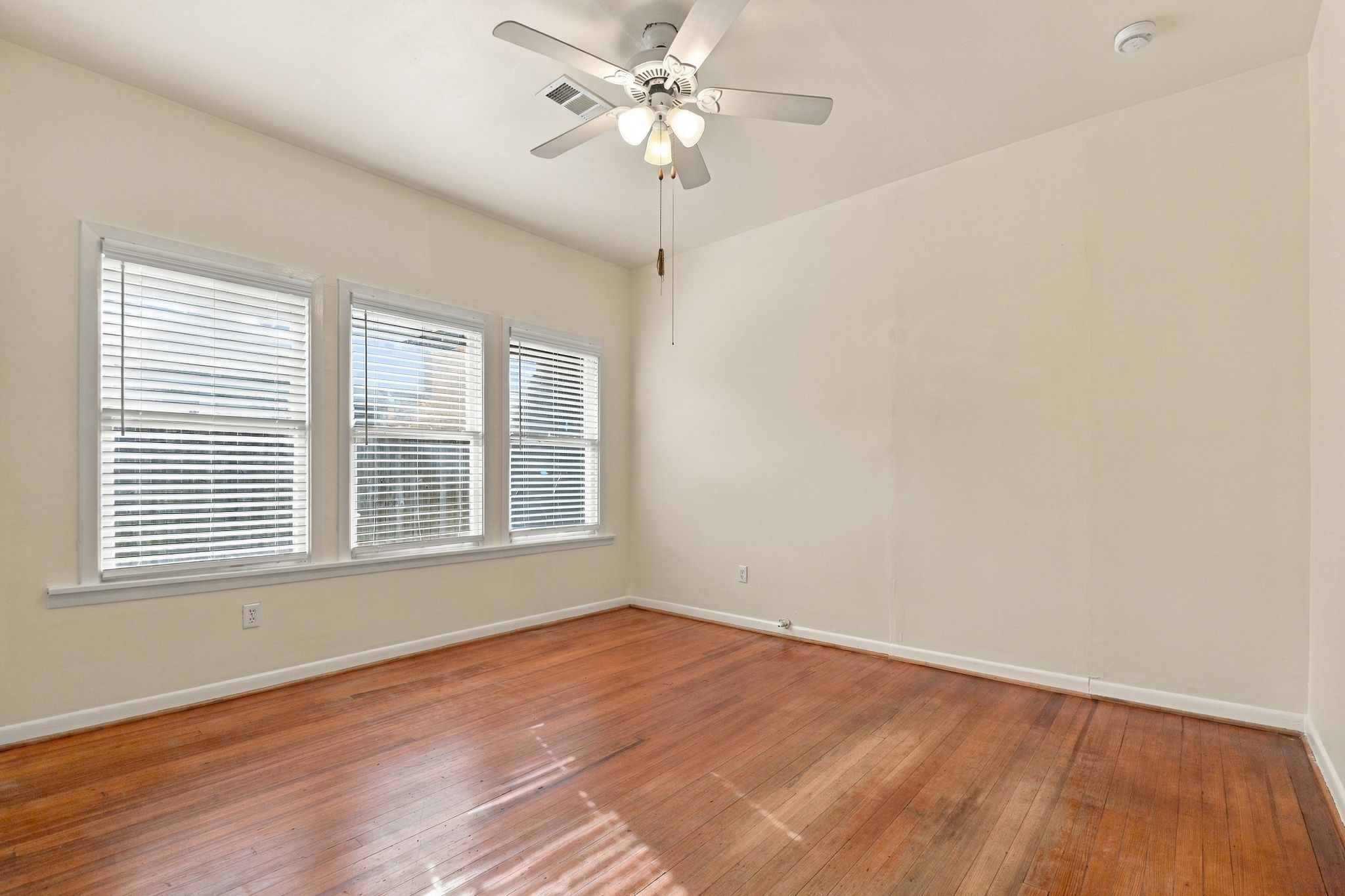 905 Pizer Street Property Photo 17