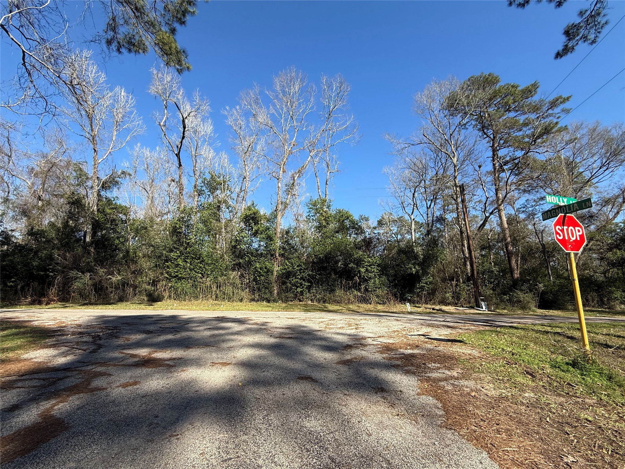 21923 Holly Lane Property Photo 1
