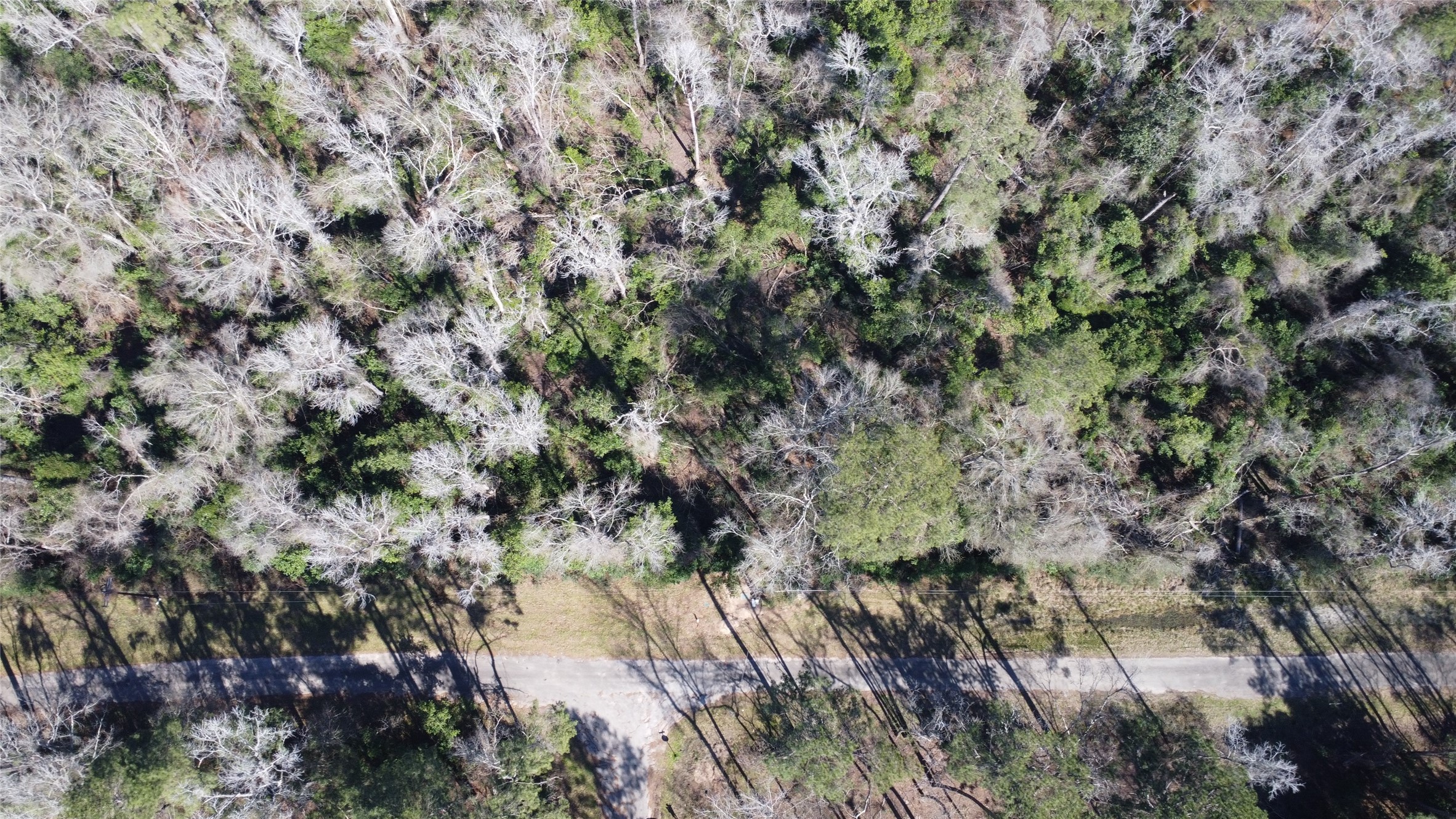 21923 Holly Lane Property Photo 2