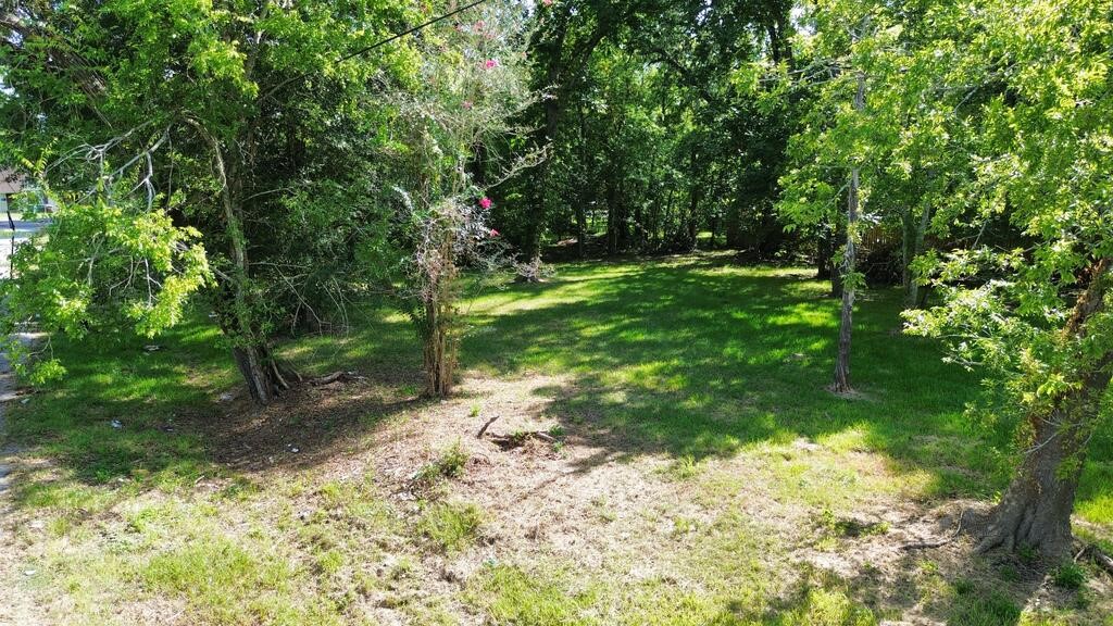 2015 Toledo Street Property Photo 4