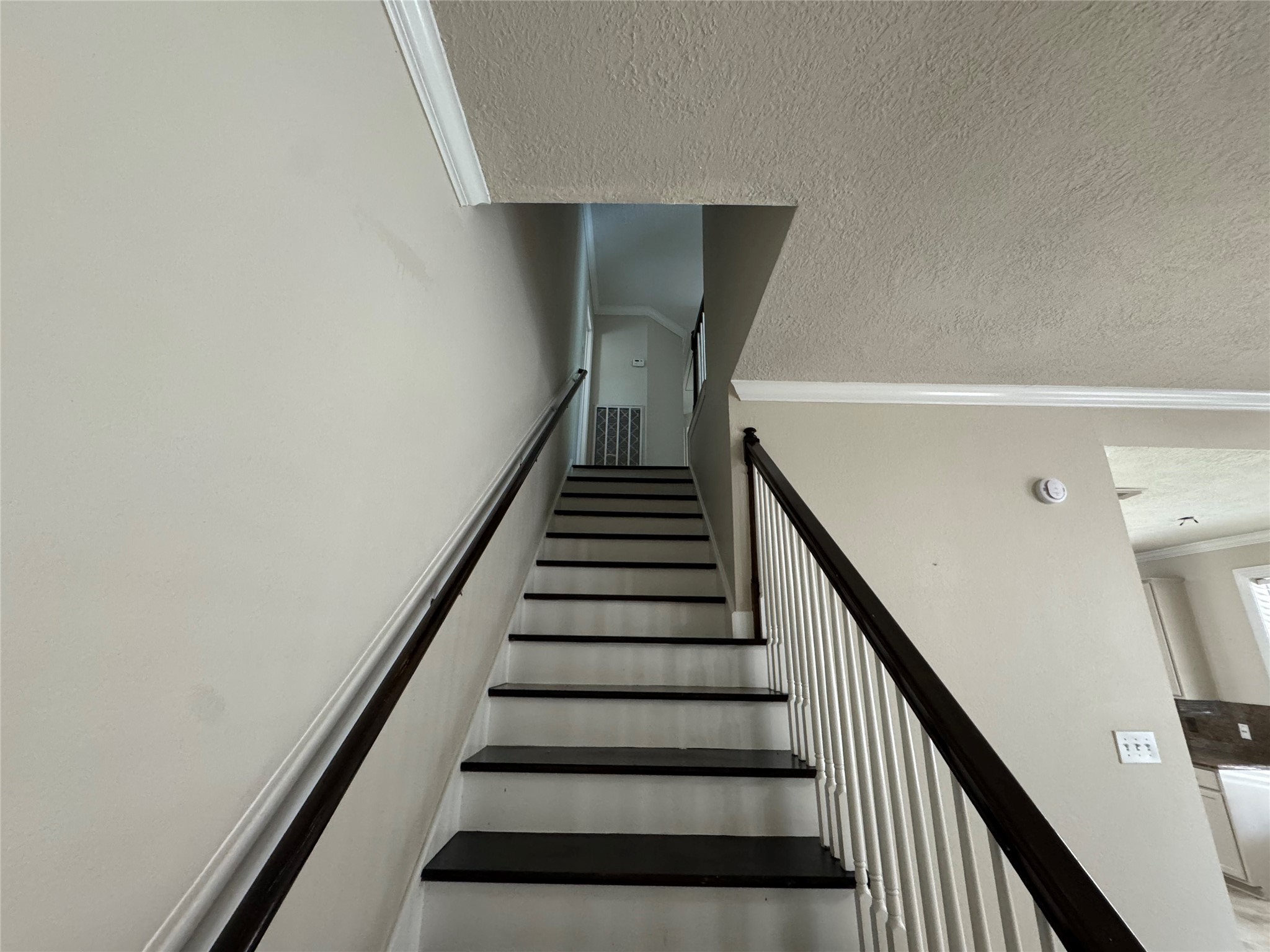 10310 Sable Trail Property Photo 19