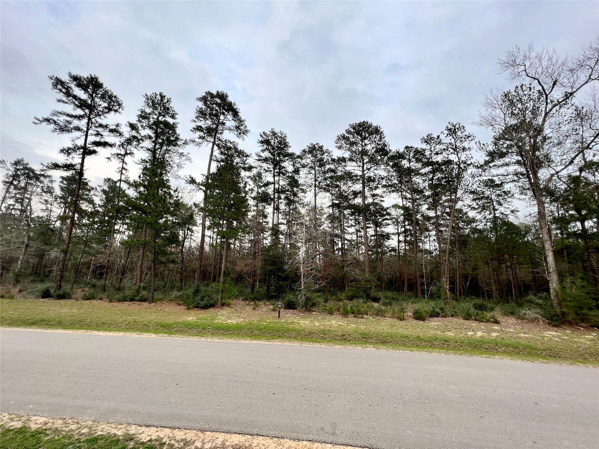Tbd 2 Lily Bean Property Photo 1