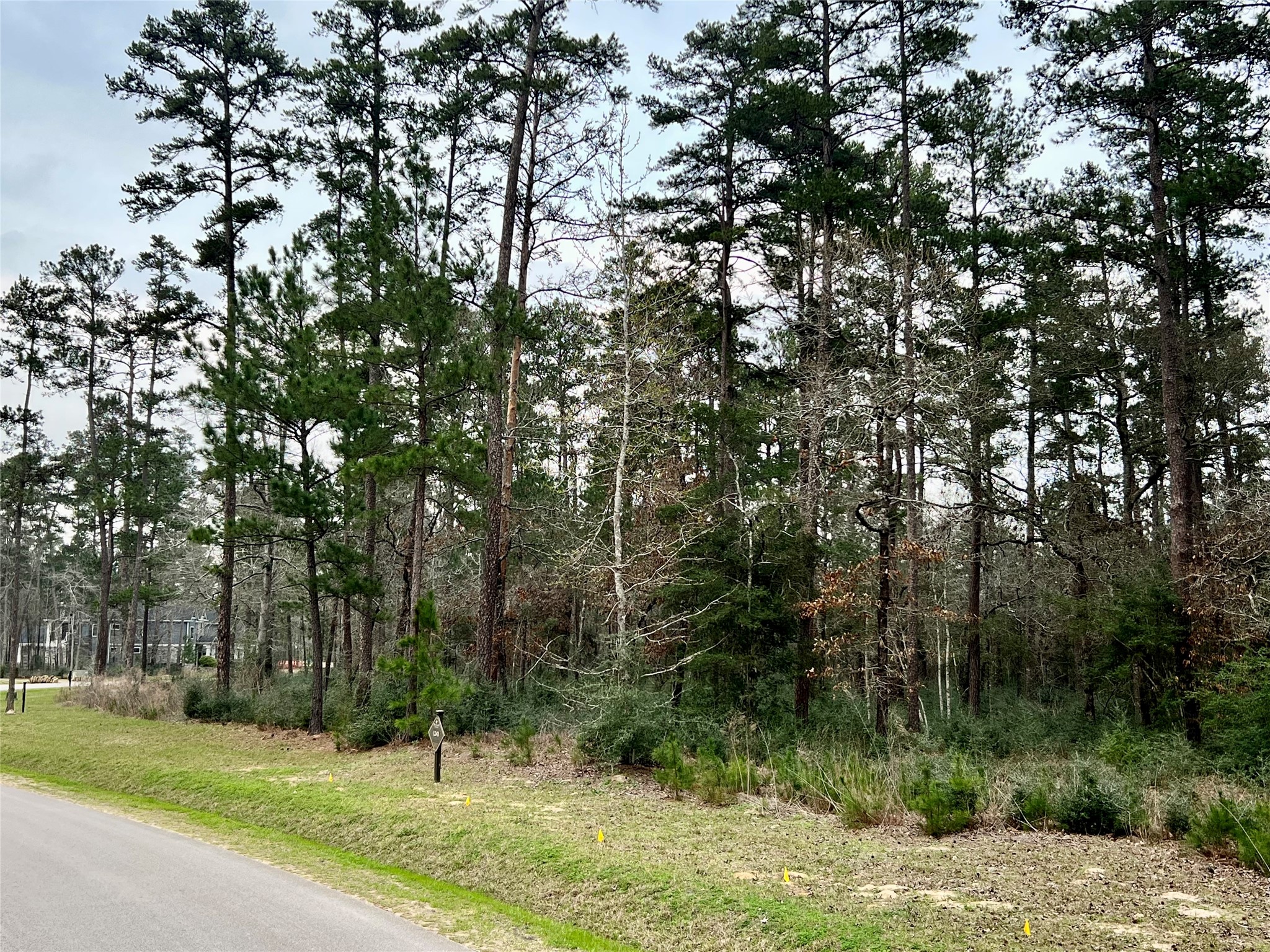 Tbd 2 Lily Bean Property Photo 6