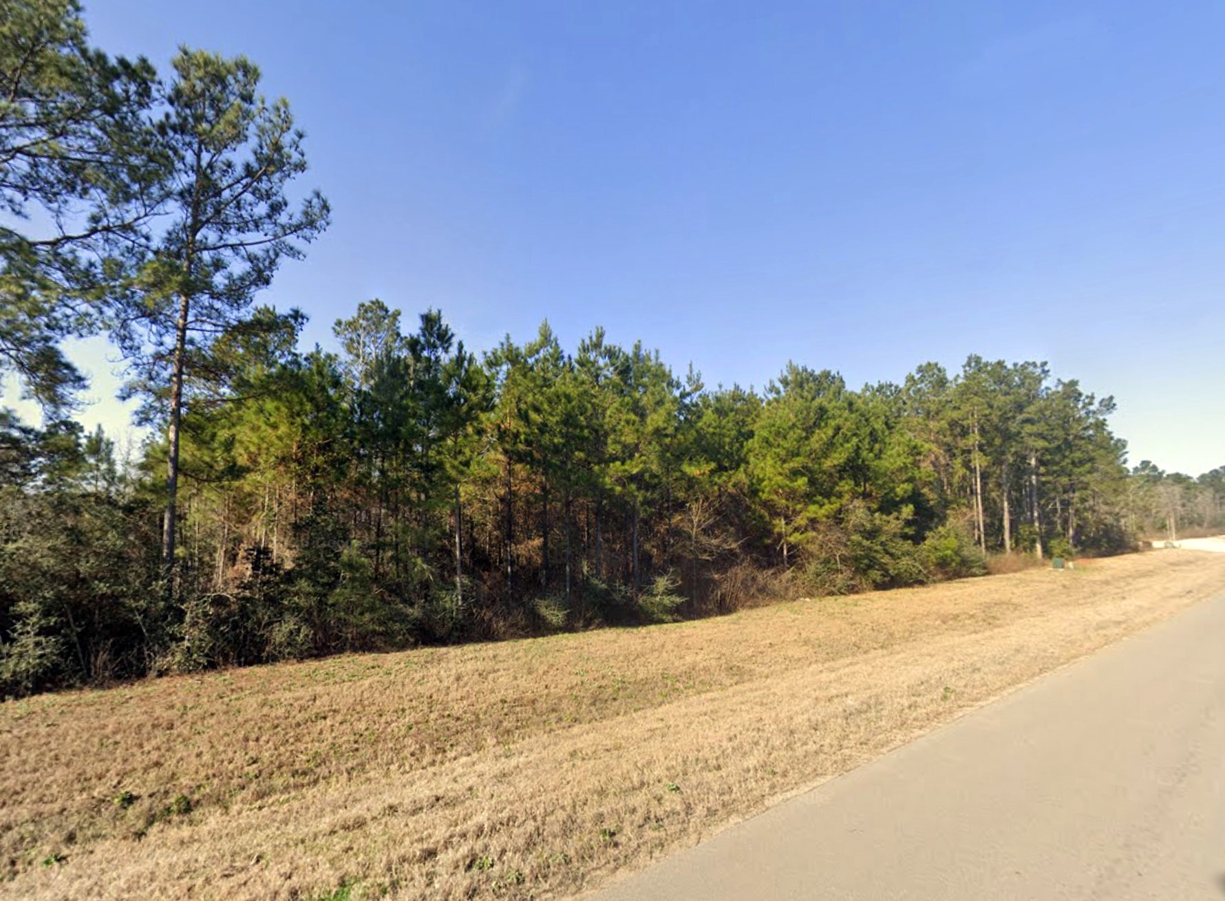 11694 Grand North Road Property Photo 4
