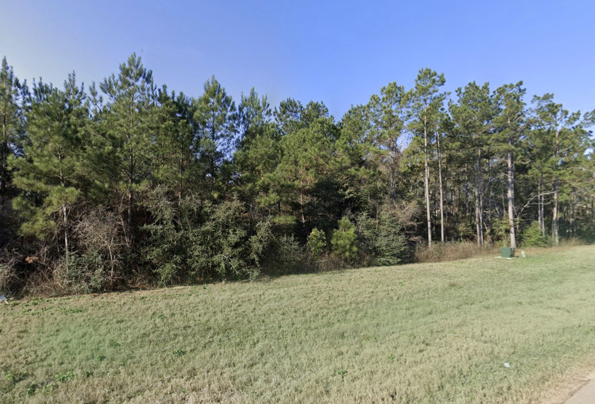 11694 Grand North Road Property Photo 5