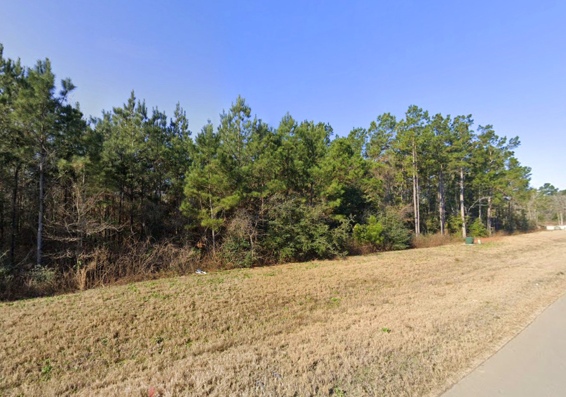11694 Grand North Road Property Photo 6
