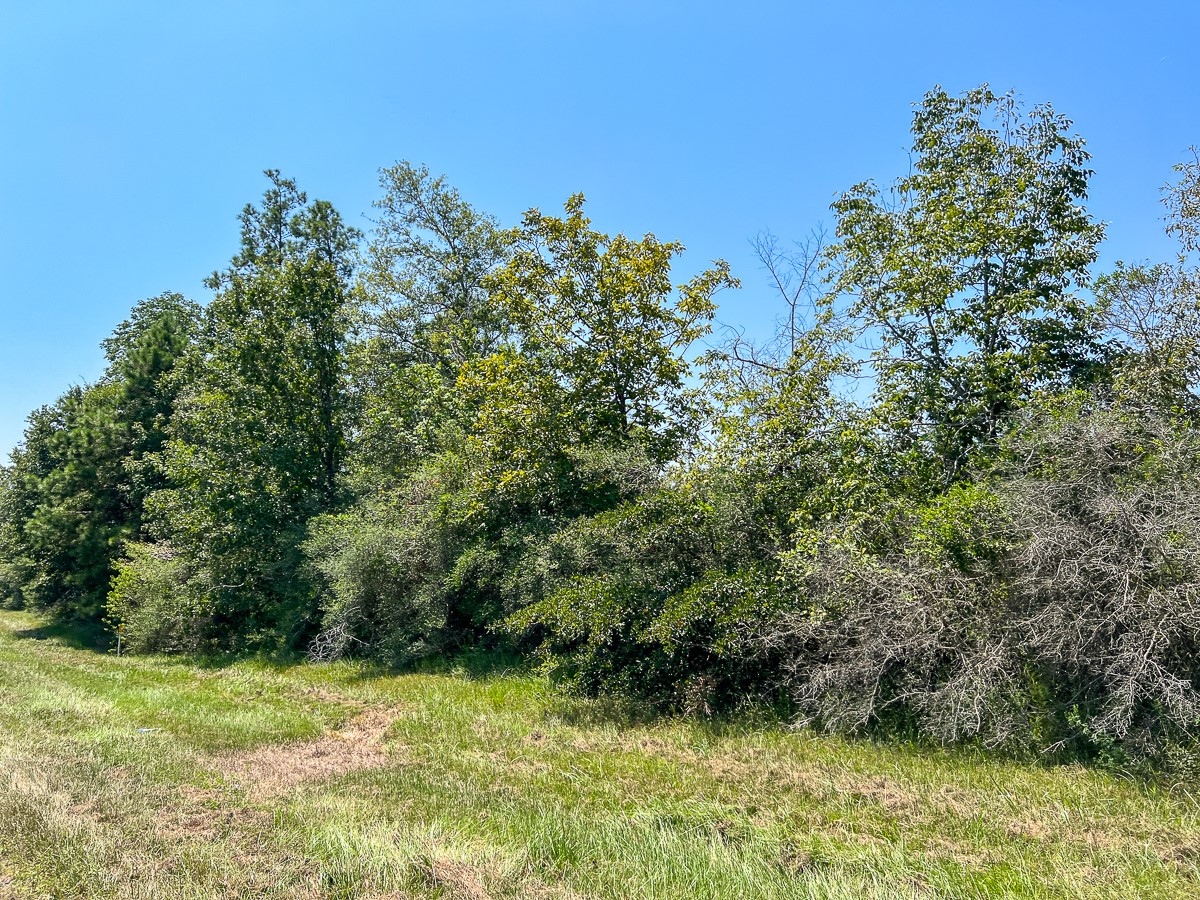 5 Highway 146 Property Photo 3