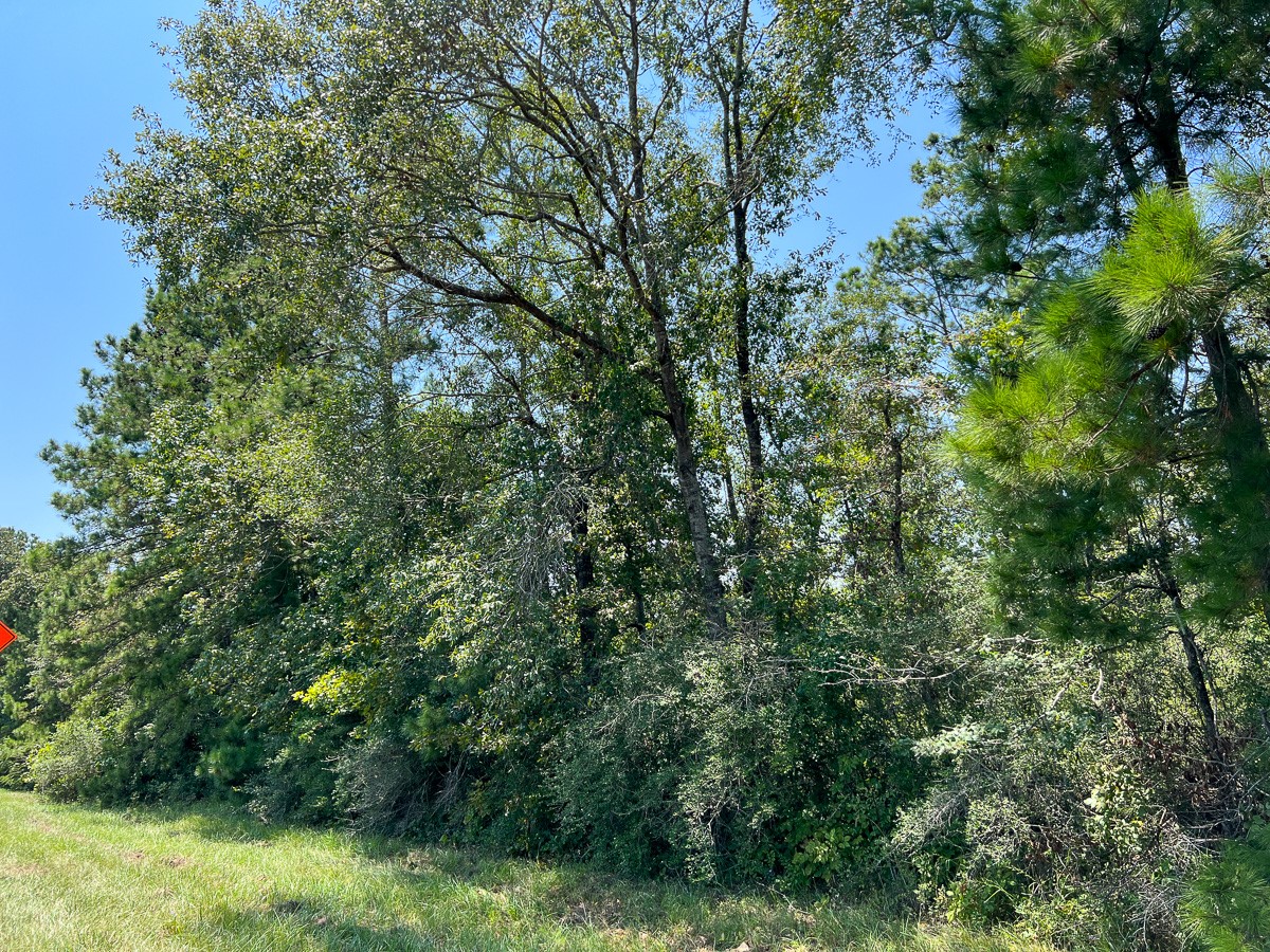 5 Highway 146 Property Photo 4