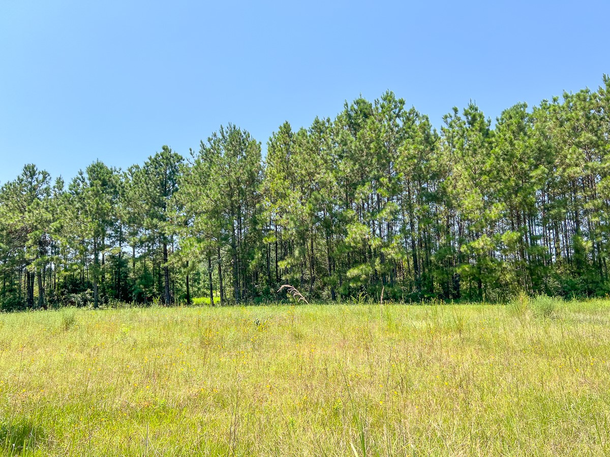 5 Highway 146 Property Photo 9