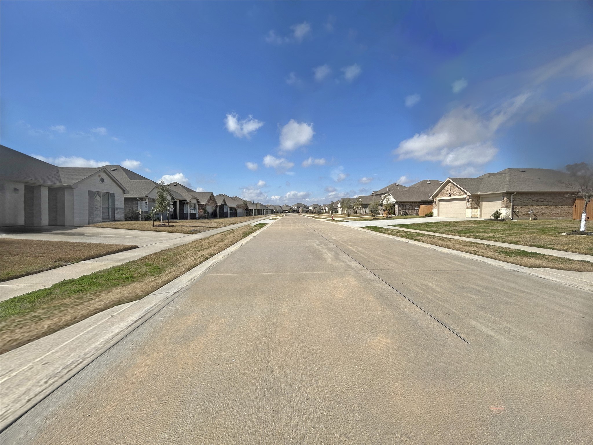 10250 Whitney Reach Drive Property Photo 3