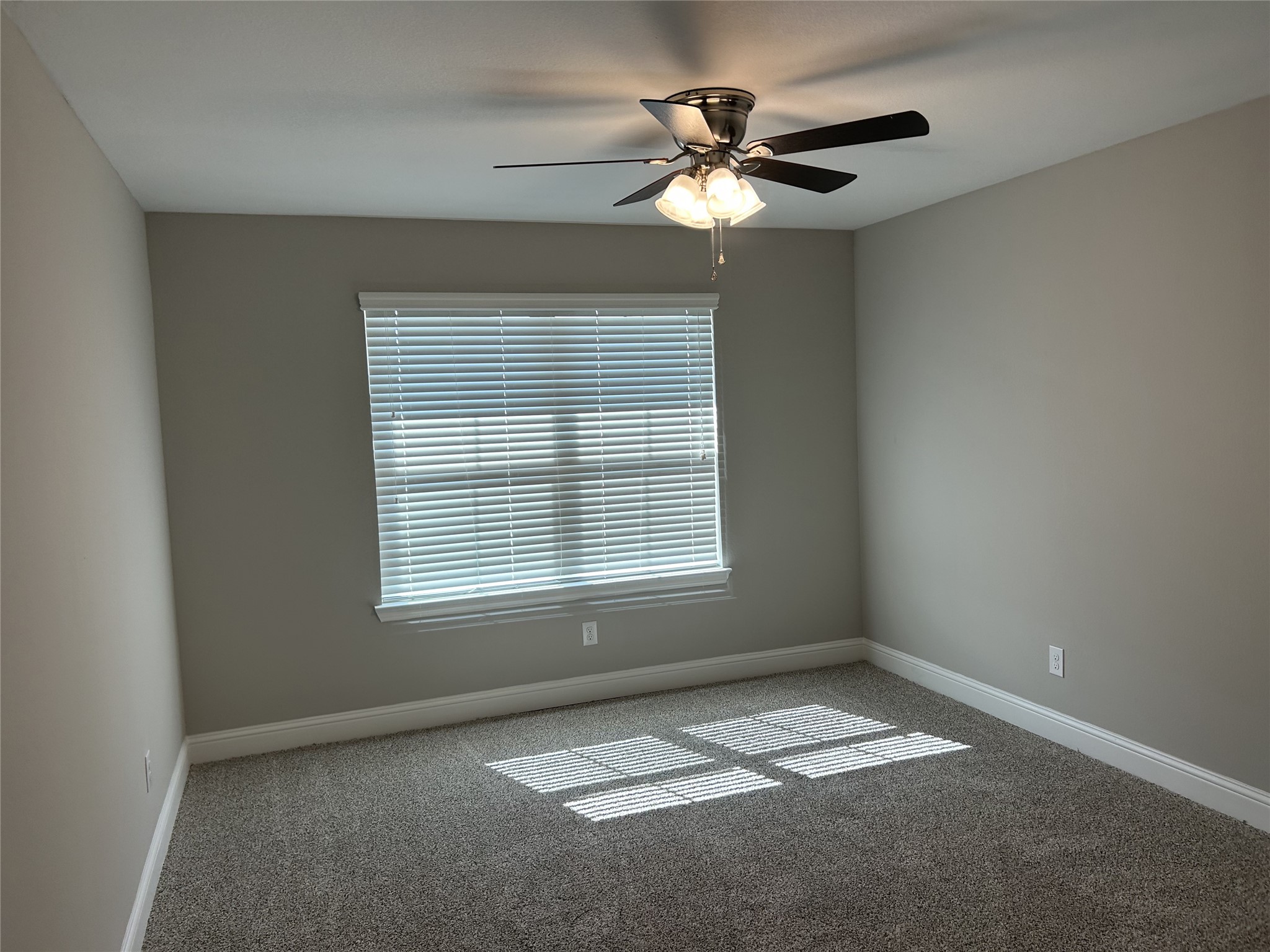 10250 Whitney Reach Drive Property Photo 16