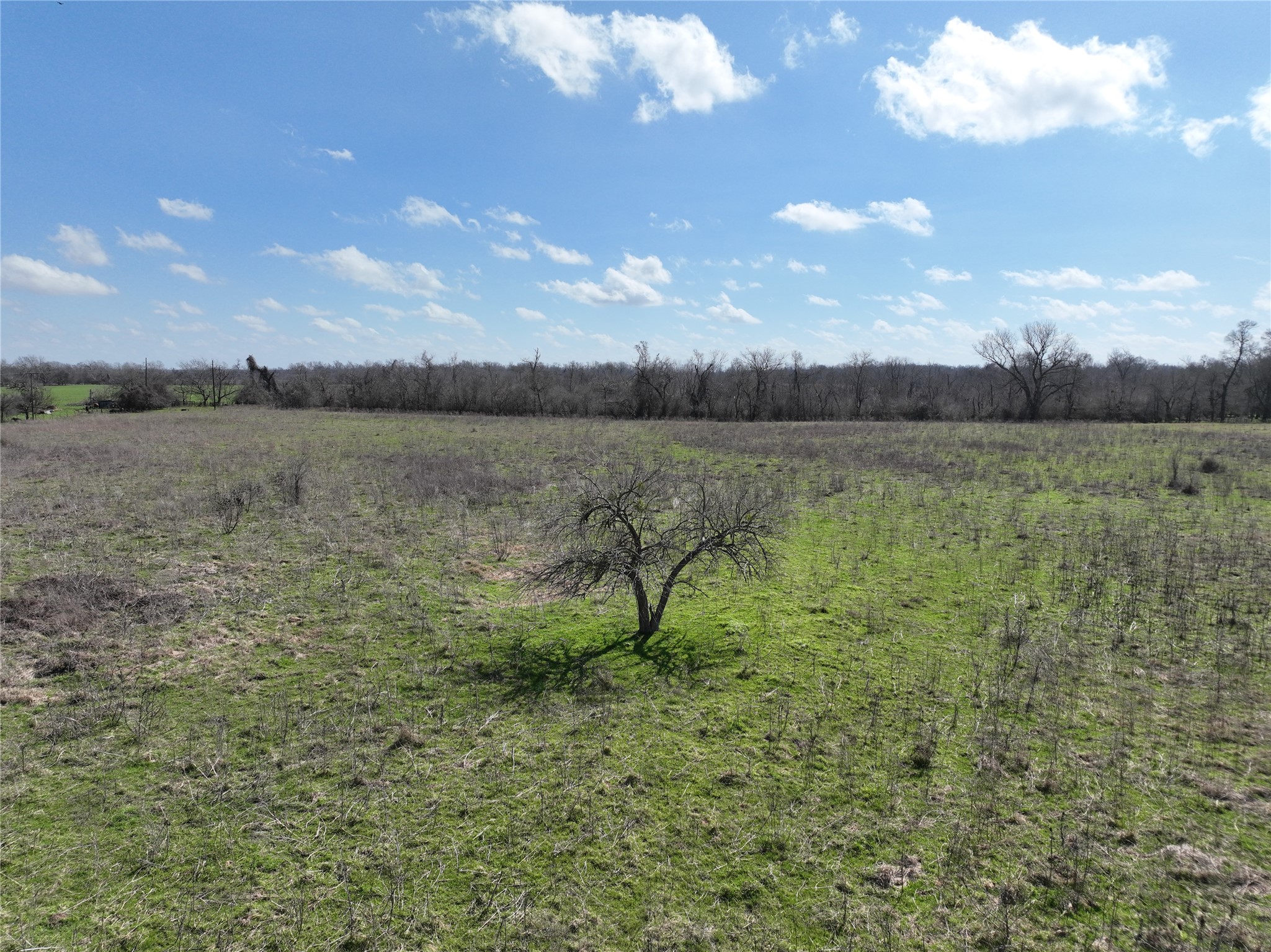 0 Fm 331 Property Photo 34