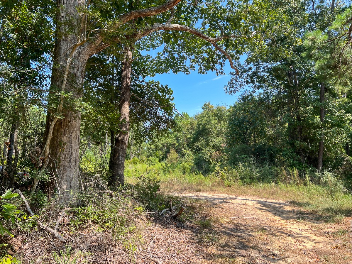 0 Cr 314 Property Photo 2