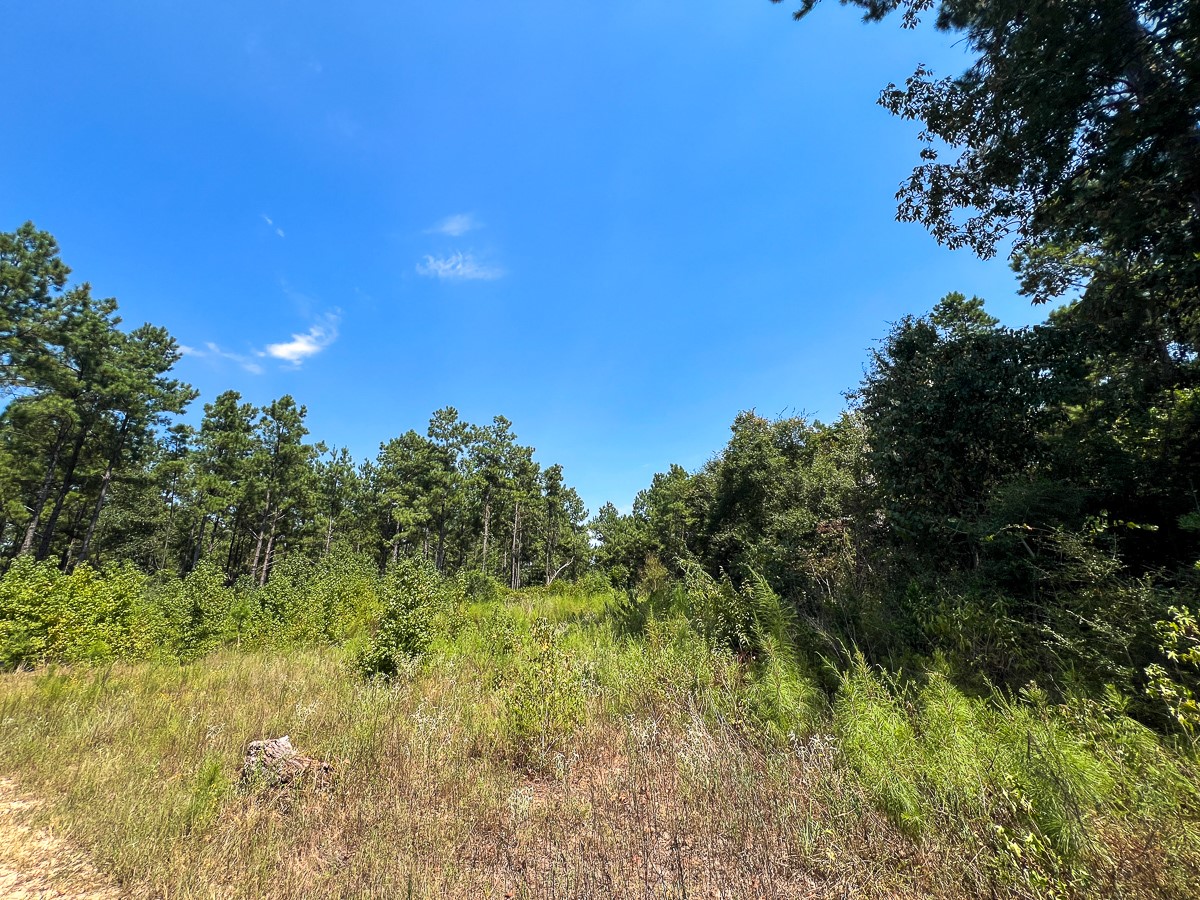 0 Cr 314 Property Photo 3