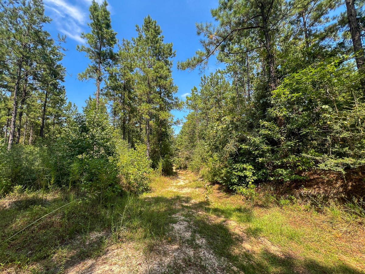 0 Cr 314 Property Photo 5