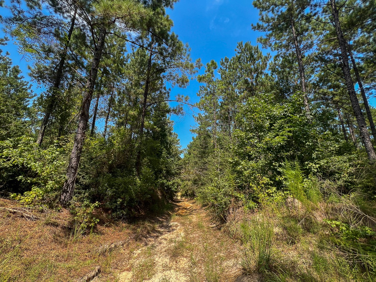 0 Cr 314 Property Photo 7