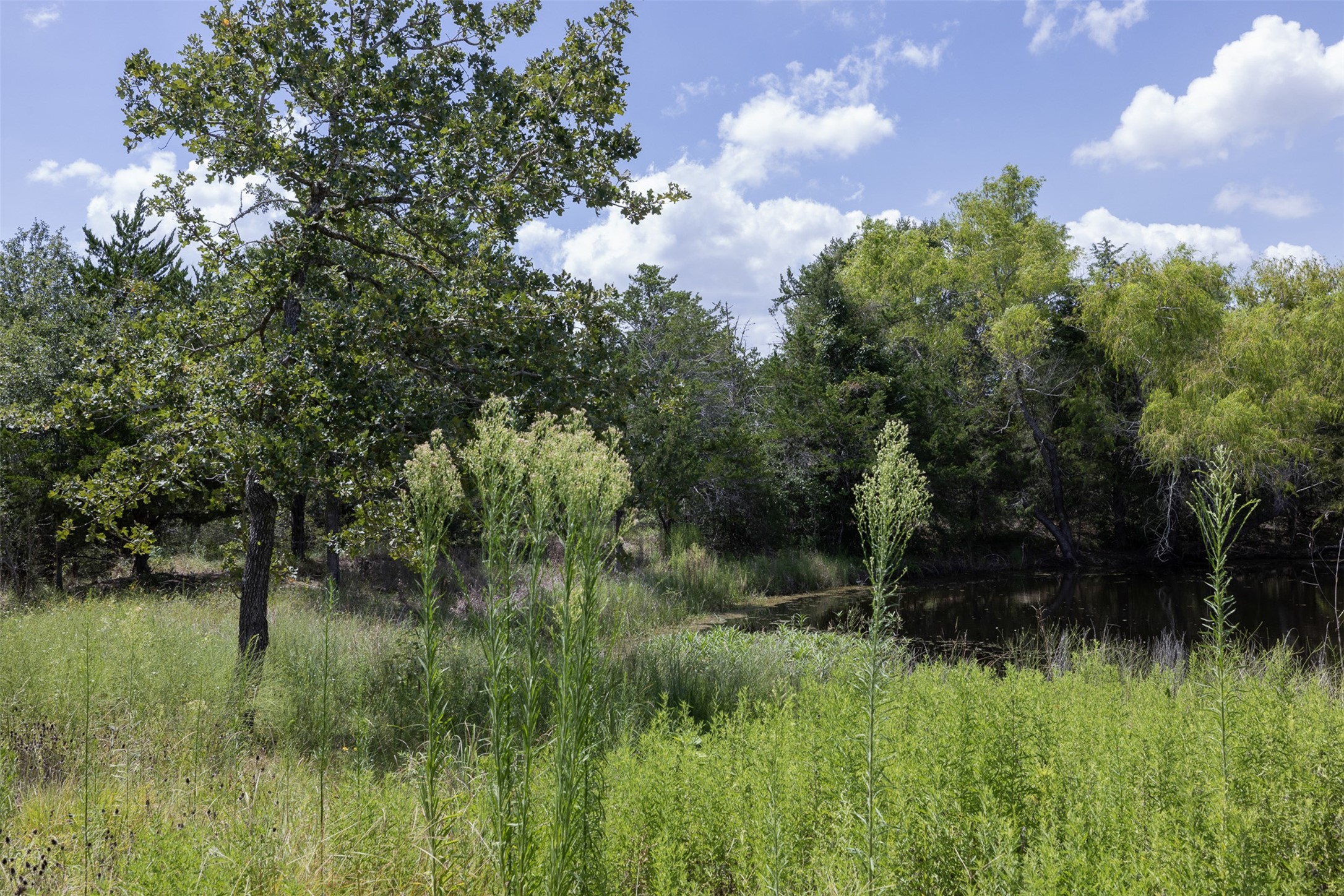11201 Wildlife Circle Property Photo 21