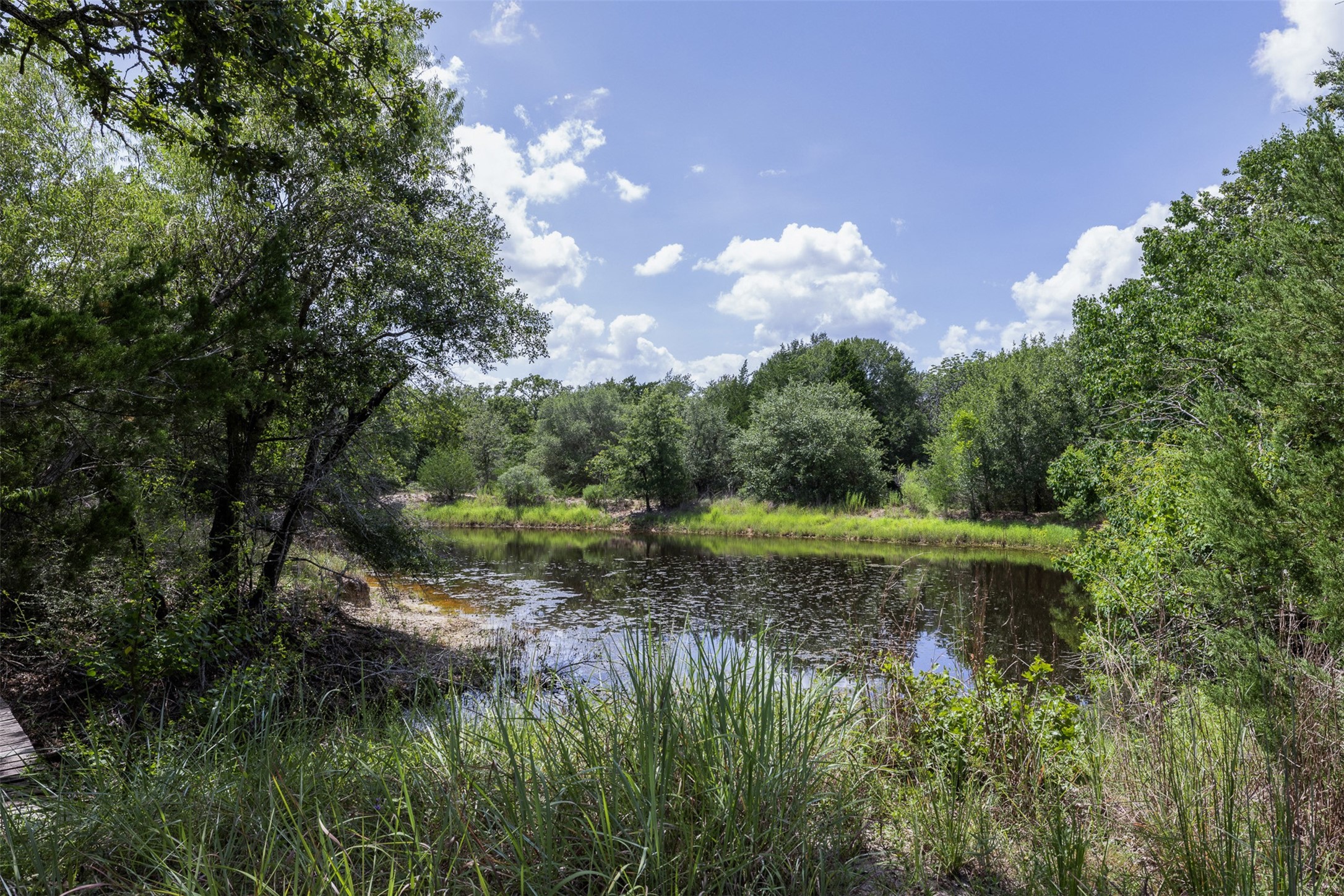 11201 Wildlife Circle Property Photo 24
