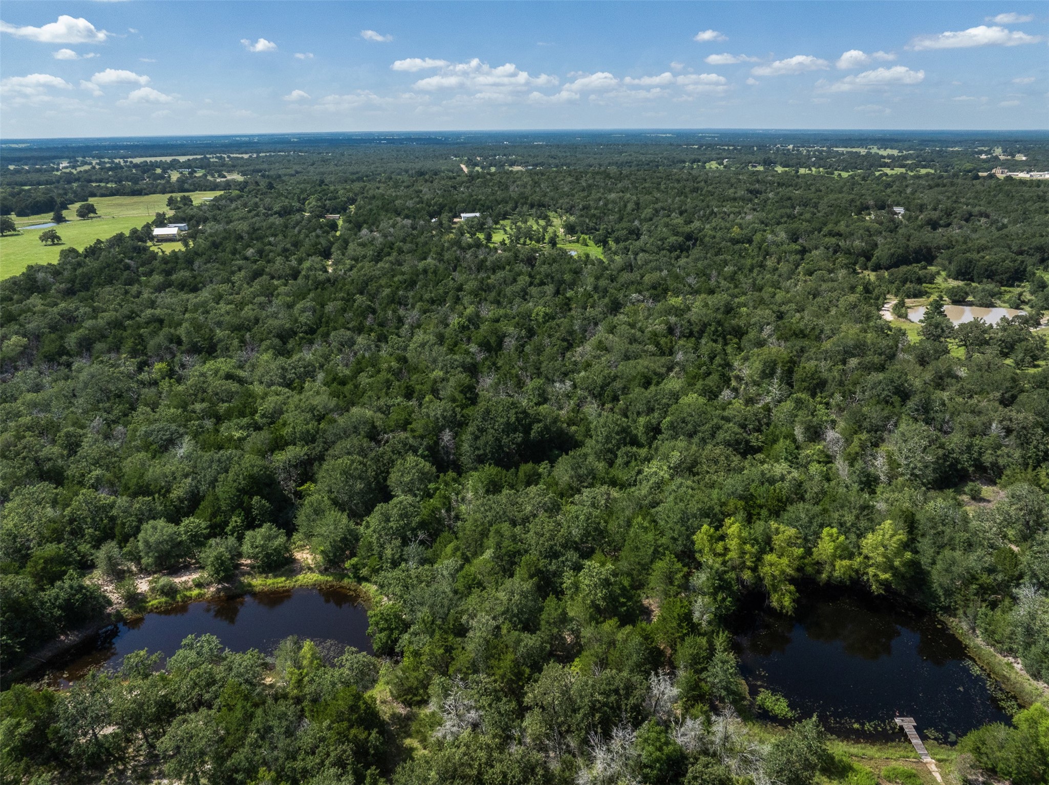 11201 Wildlife Circle Property Photo 25