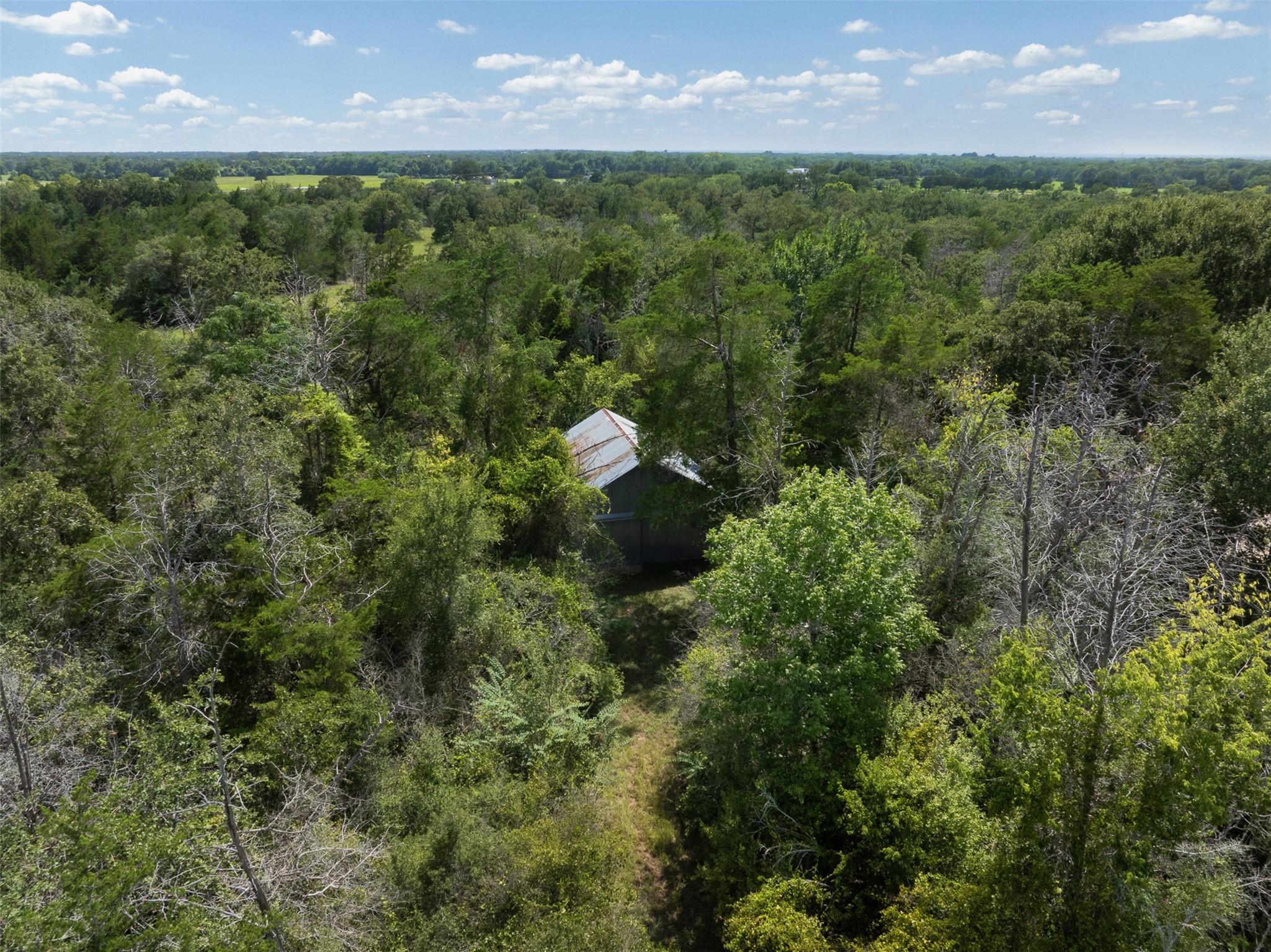 11201 Wildlife Circle Property Photo 28