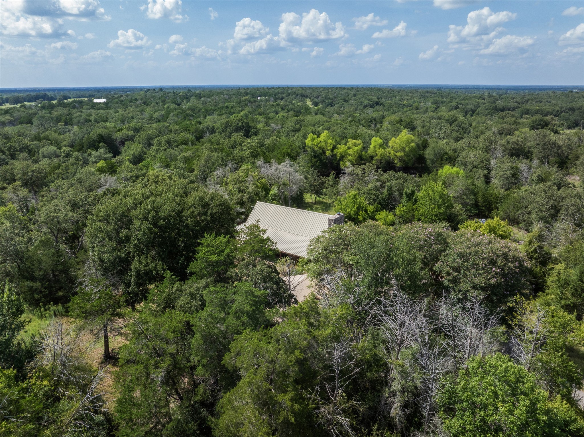 11201 Wildlife Circle Property Photo 29