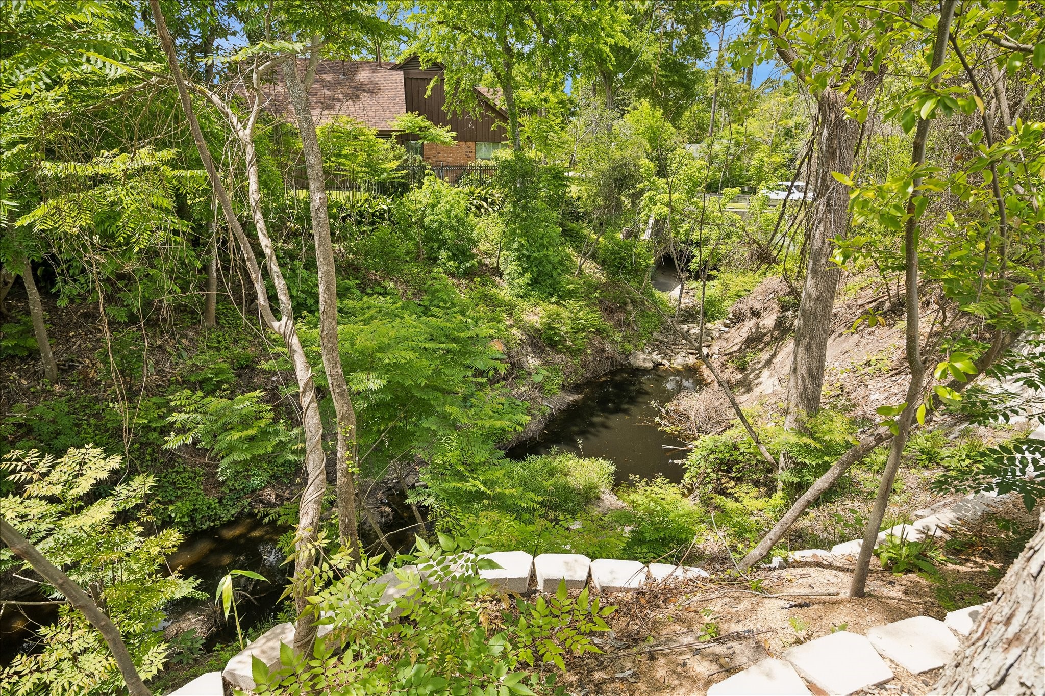10801 Long Shadow Lane Property Photo 45