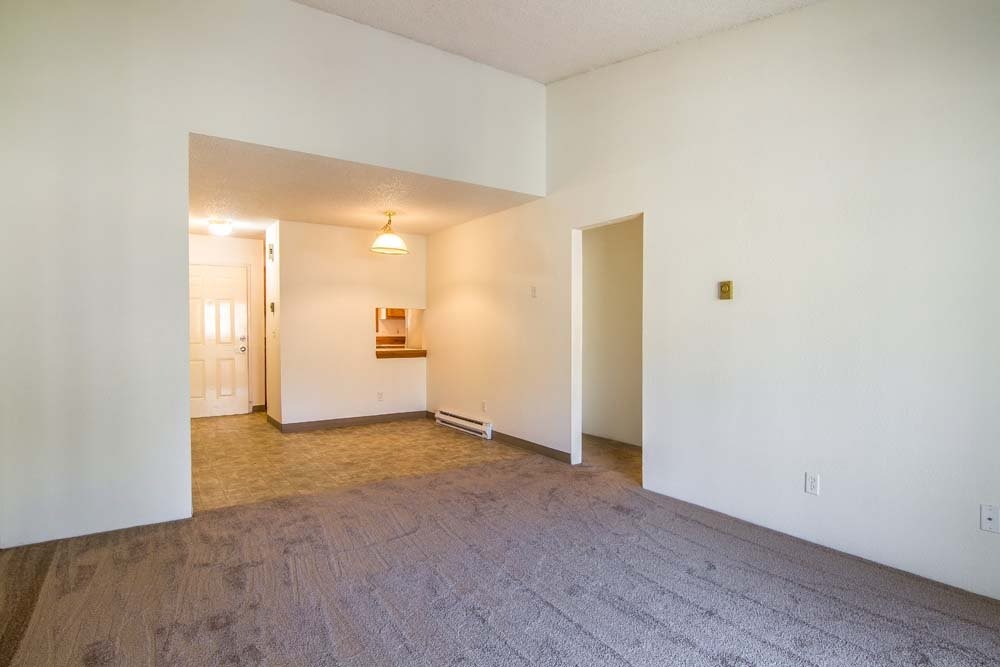 923 Cowl Street Property Photo 6