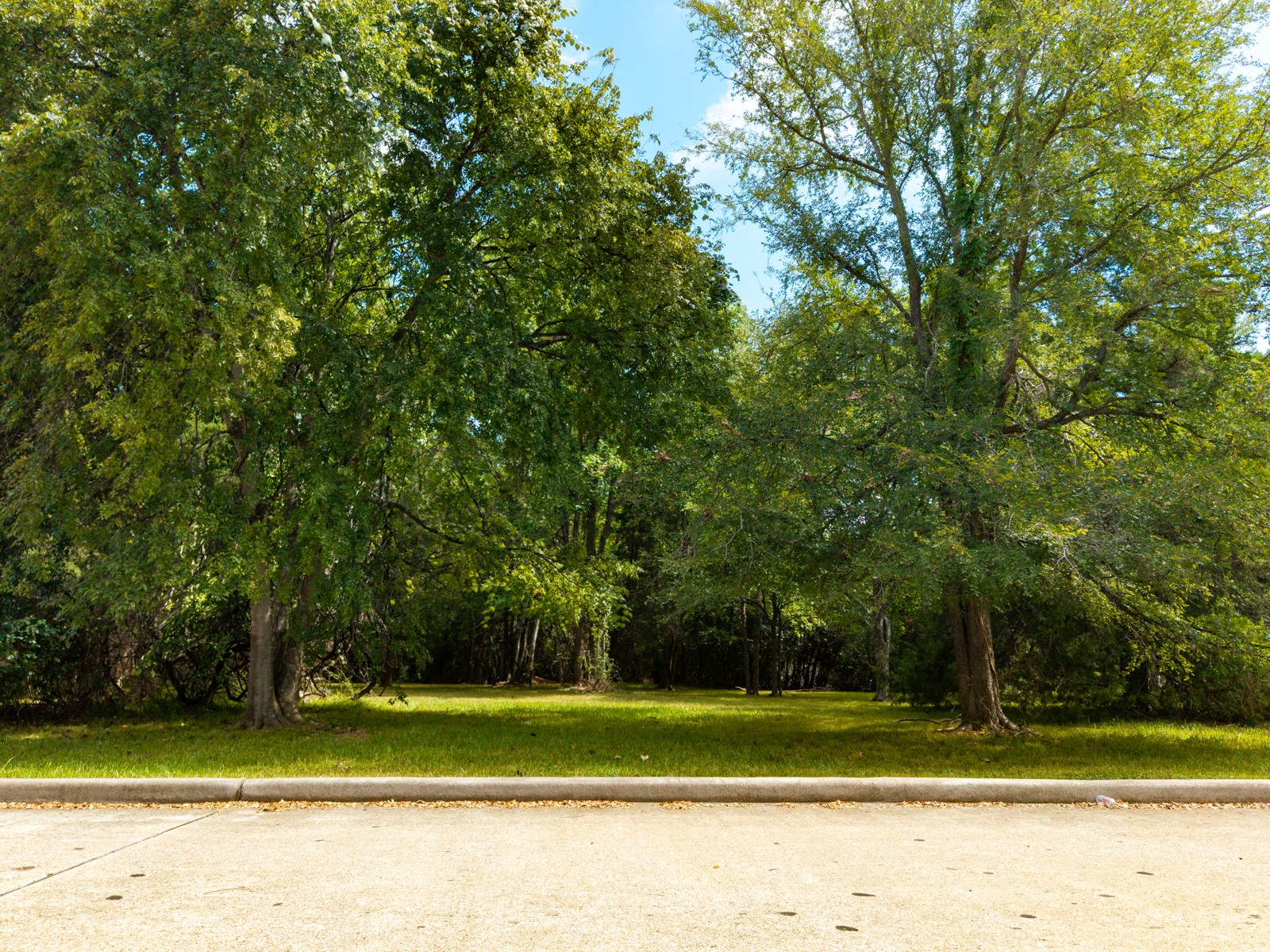 11737 Sagittarius W Property Photo 3