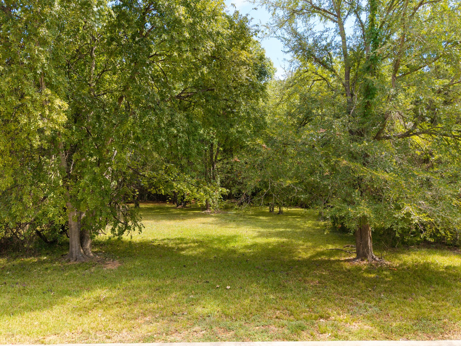 11737 Sagittarius W Property Photo 4