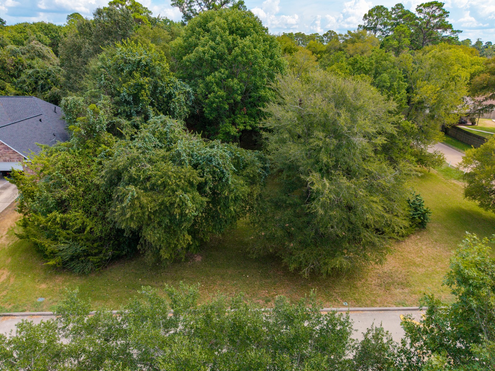 11737 Sagittarius W Property Photo 5