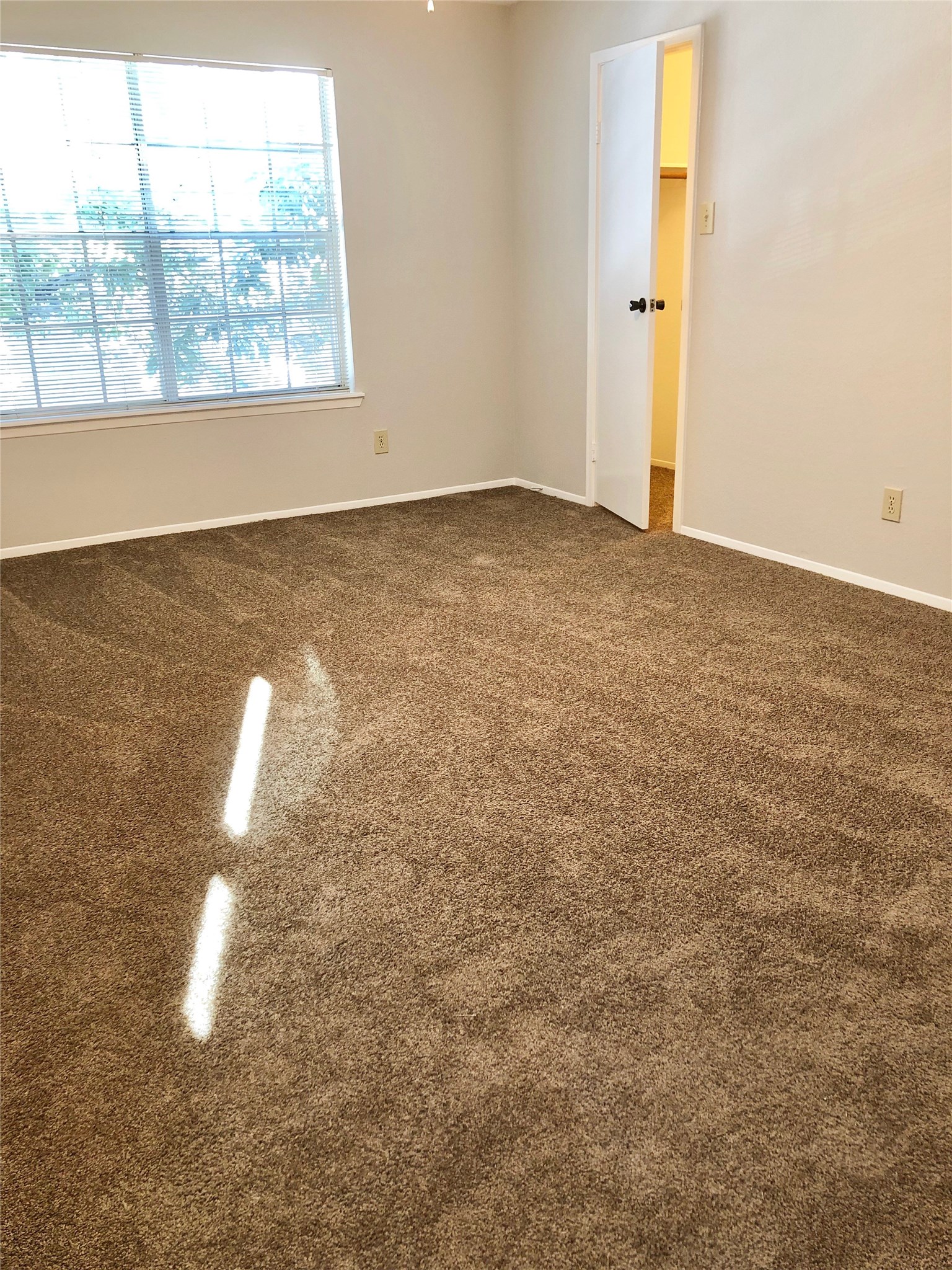 7781 Cambridge Street 7781 Property Photo 11