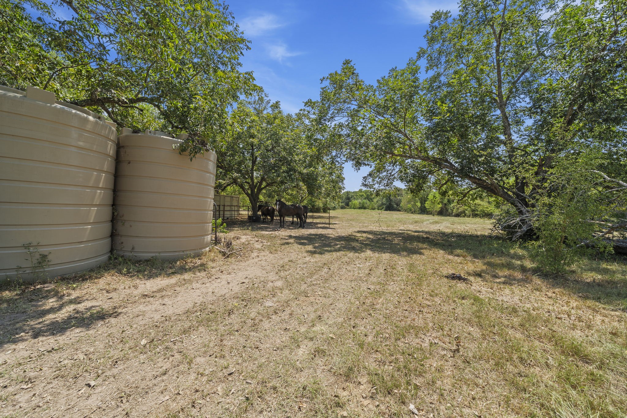 37585 Porter Road Property Photo 3