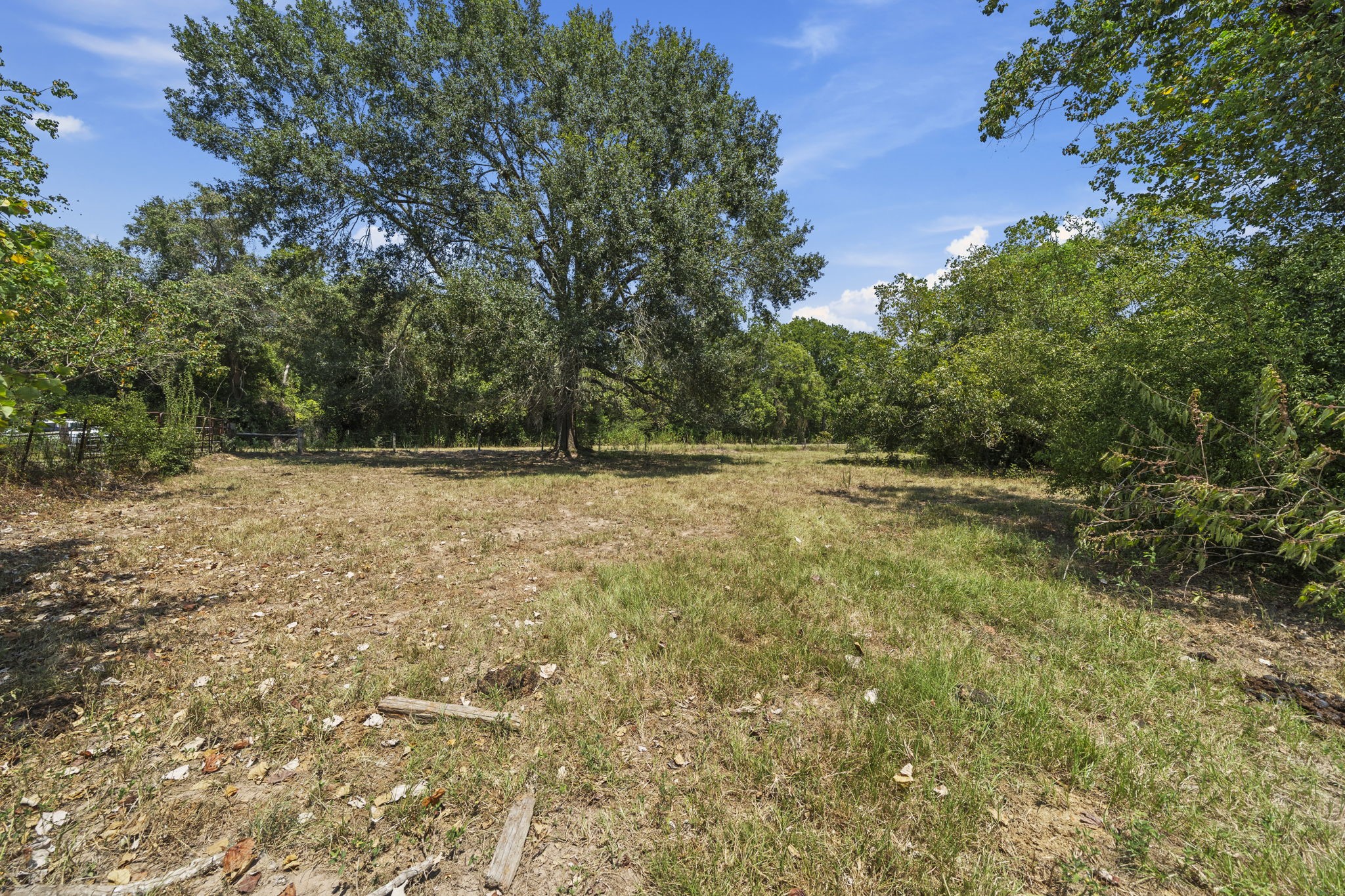 37585 Porter Road Property Photo 13