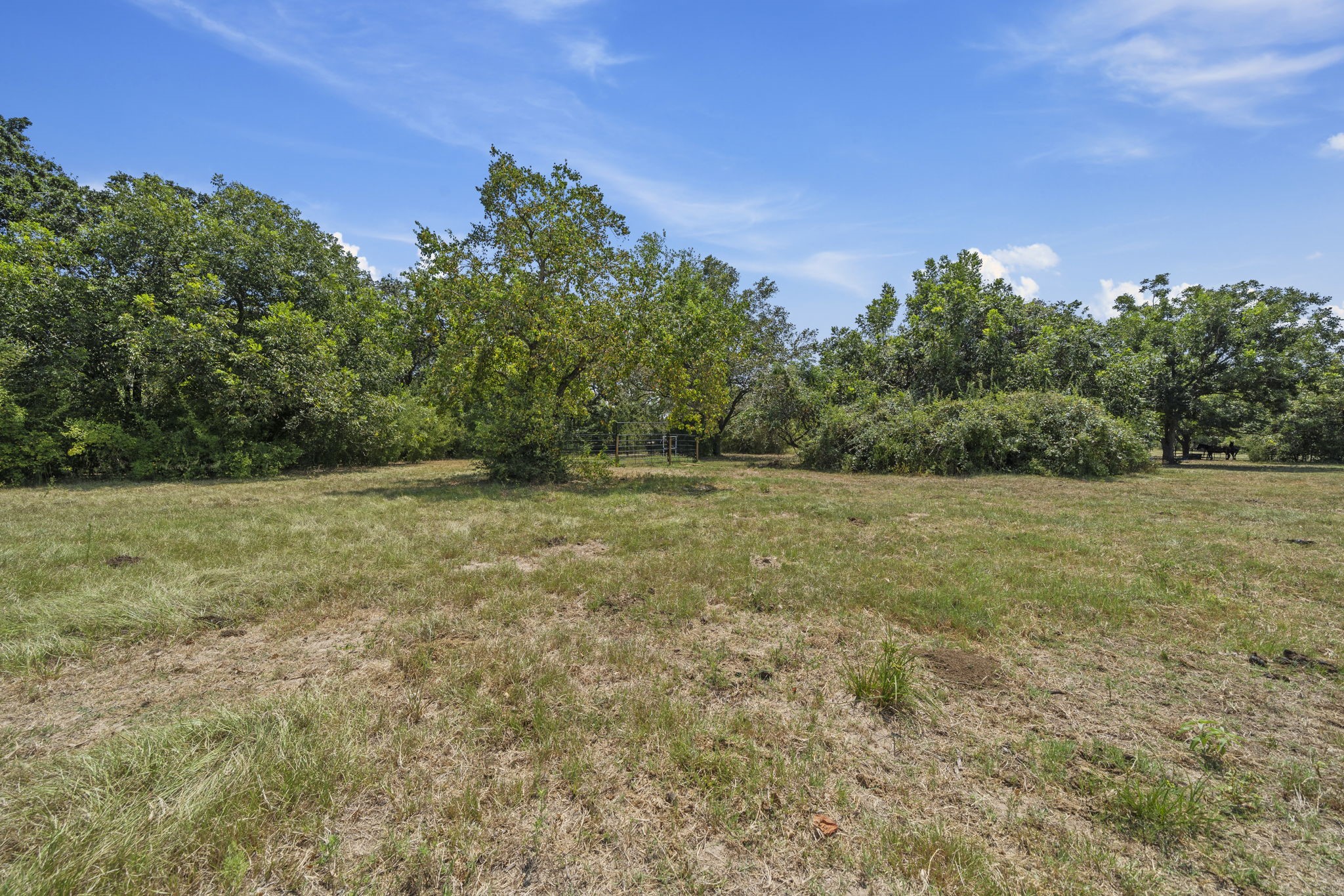 37585 Porter Road Property Photo 15
