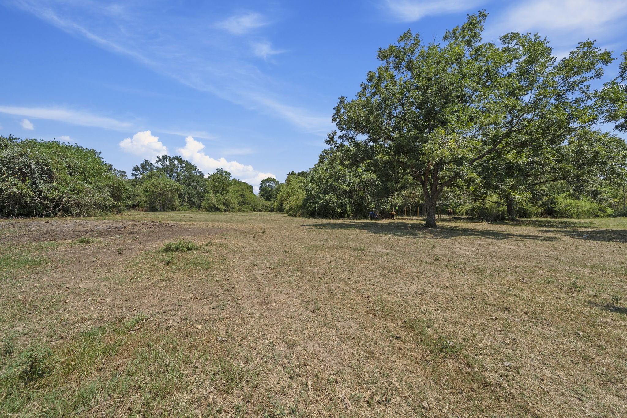 37585 Porter Road Property Photo 18