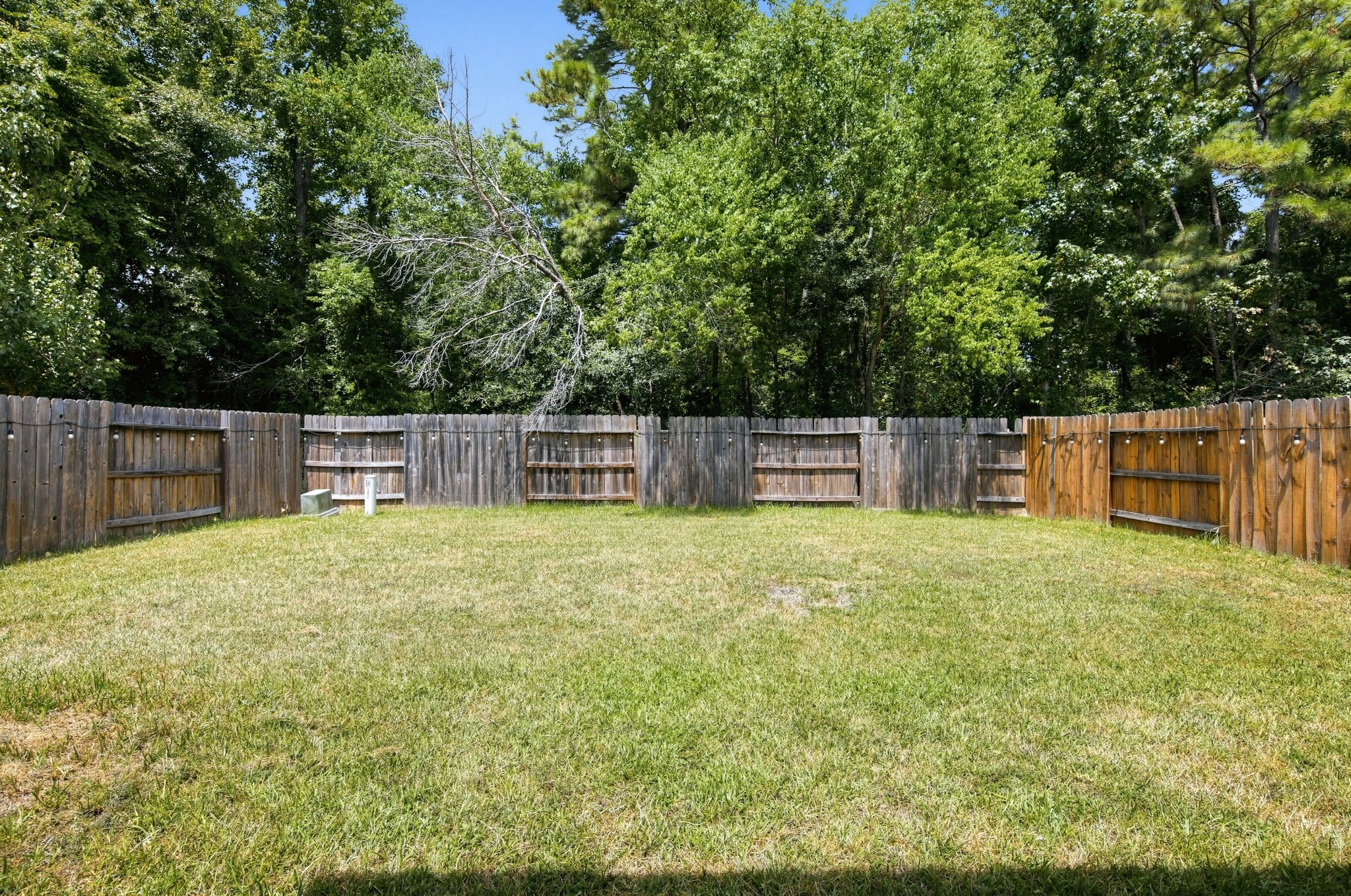 13519 Smith Lake Lane Property Photo 21